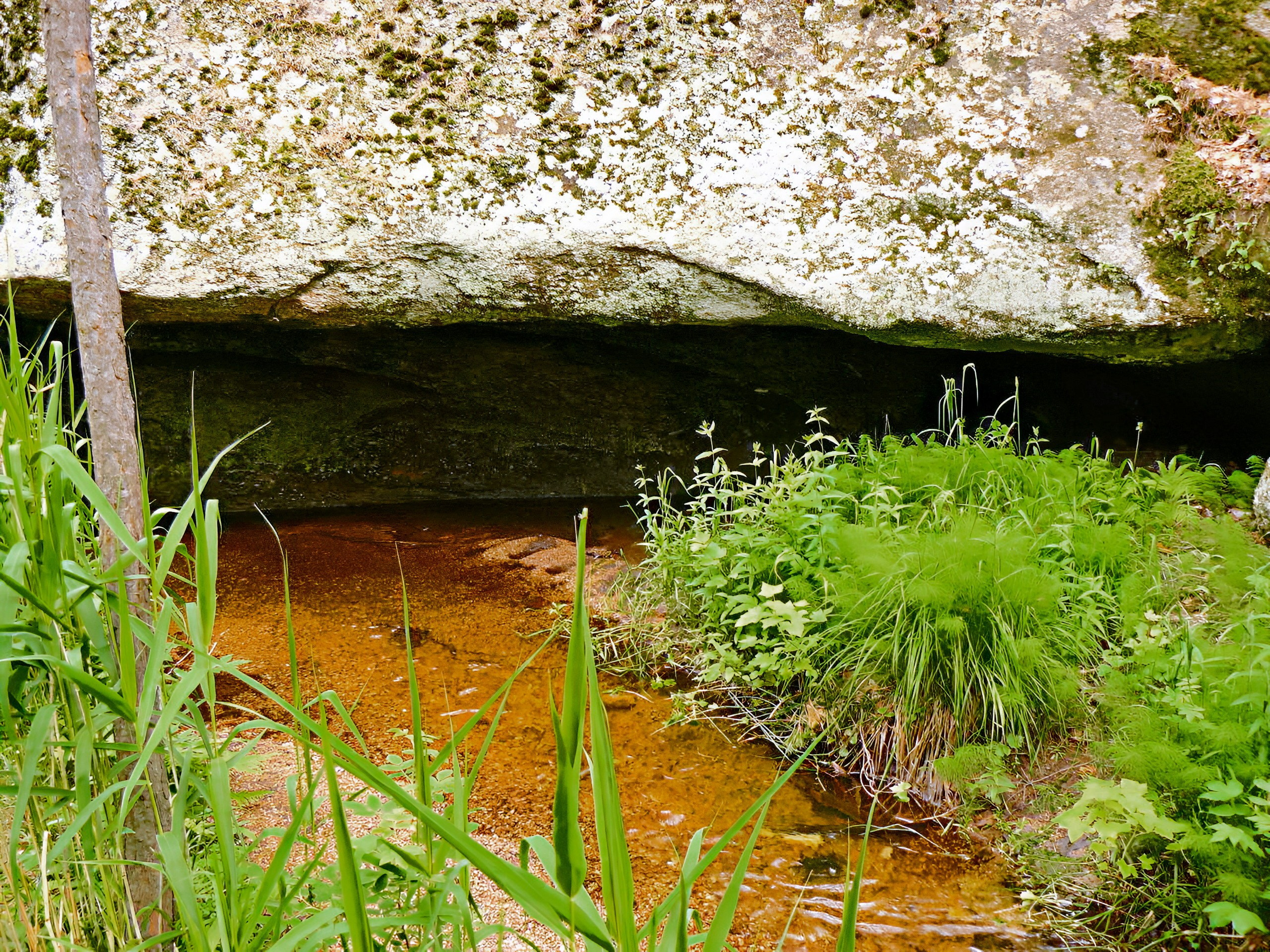 Боровое 2018 (из архива). Избранные фотографии