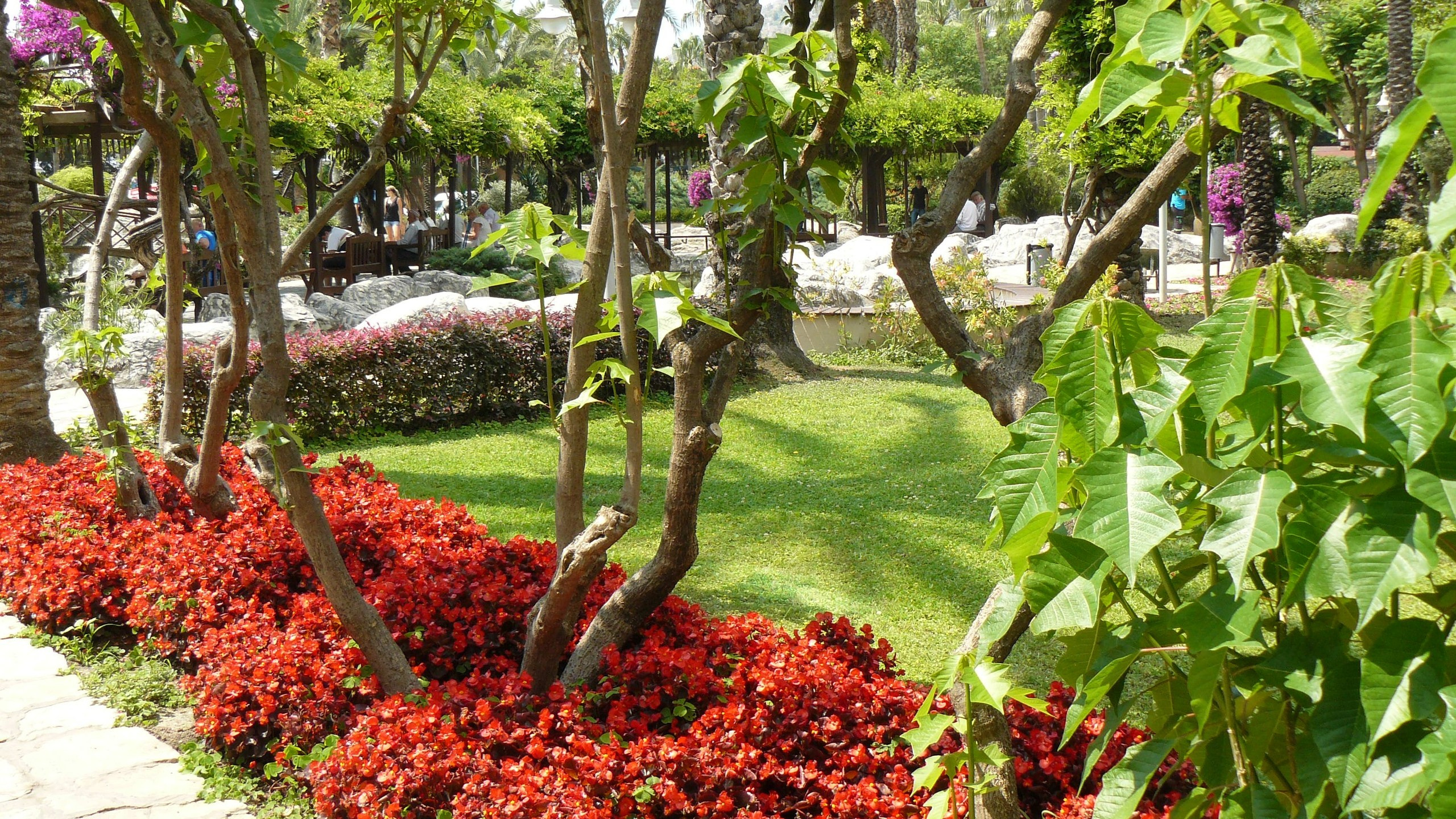 Алания 2015 порт и парк. Фотопрогулки по Миру