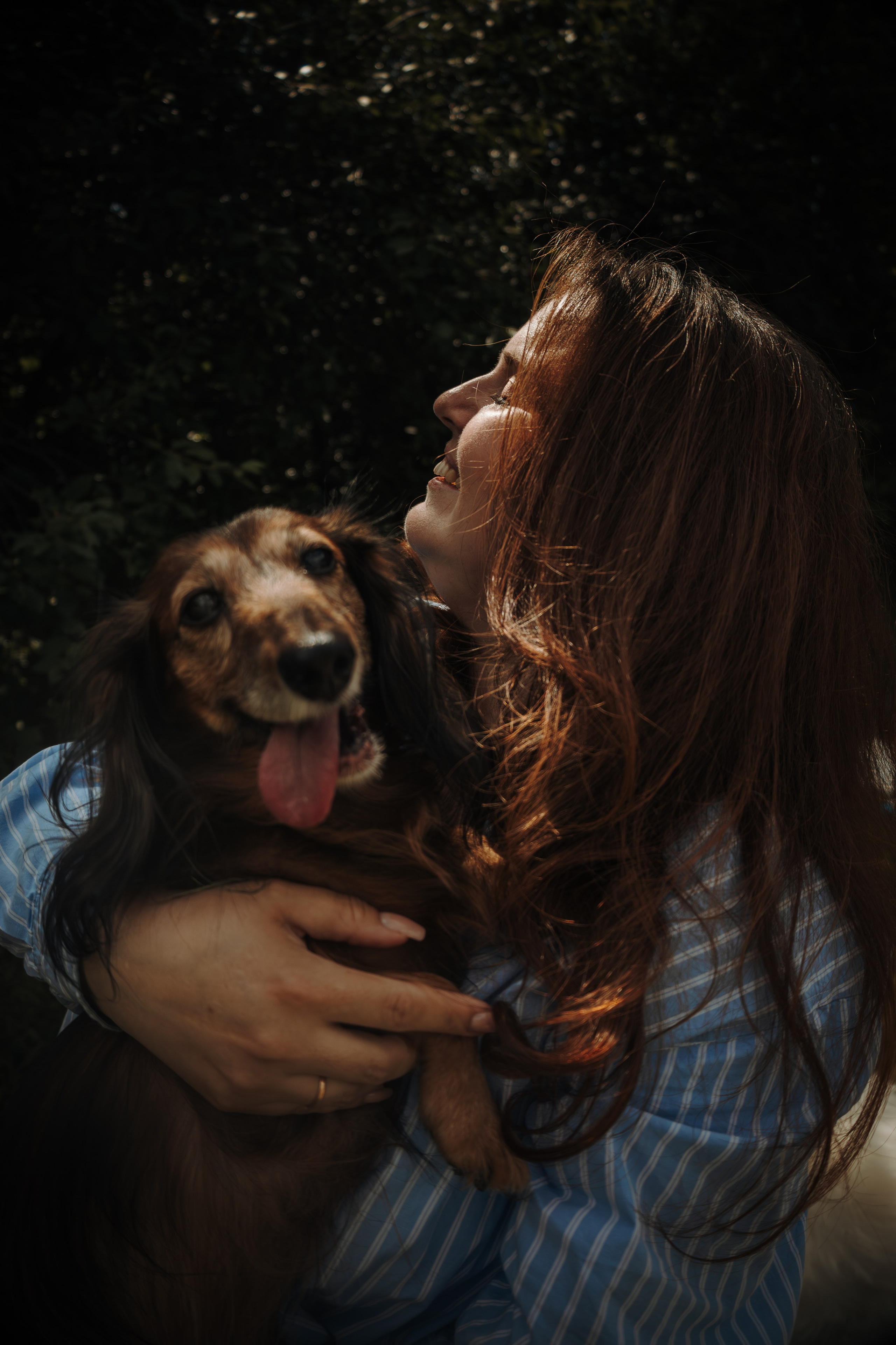 Семейная фотосессия с собаками в парке. Фотограф-анималист в Москве Екатерина Тихонова
