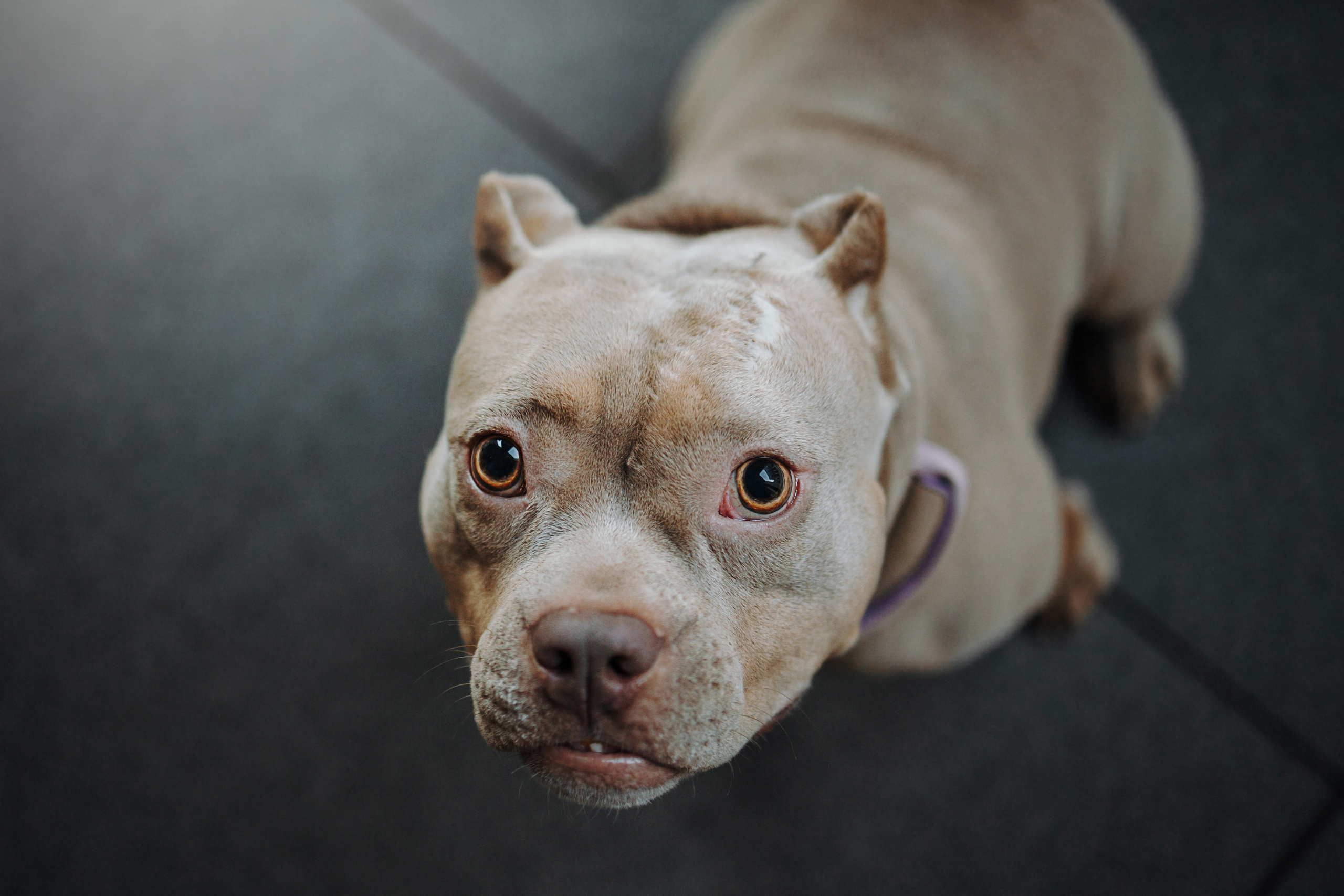 Лера и ее булочки. Фотограф — Анималист | Санкт-Петербург