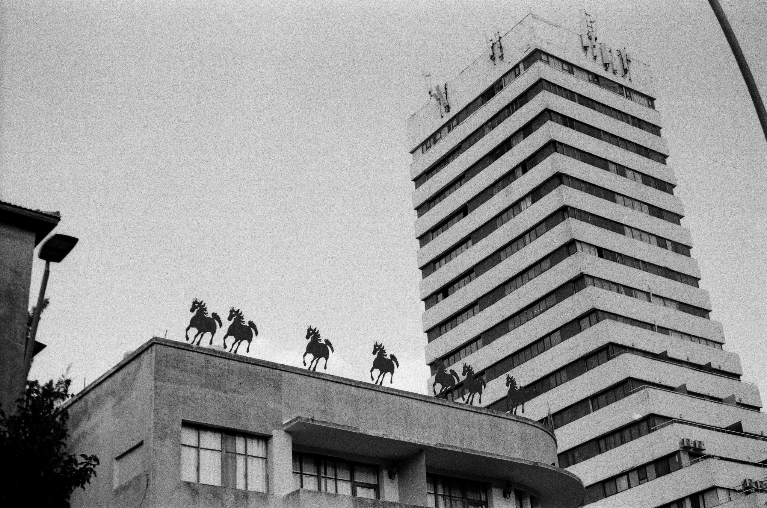 Israel 2025. Свадебный и портретный фотограф в Санкт-Петербурге