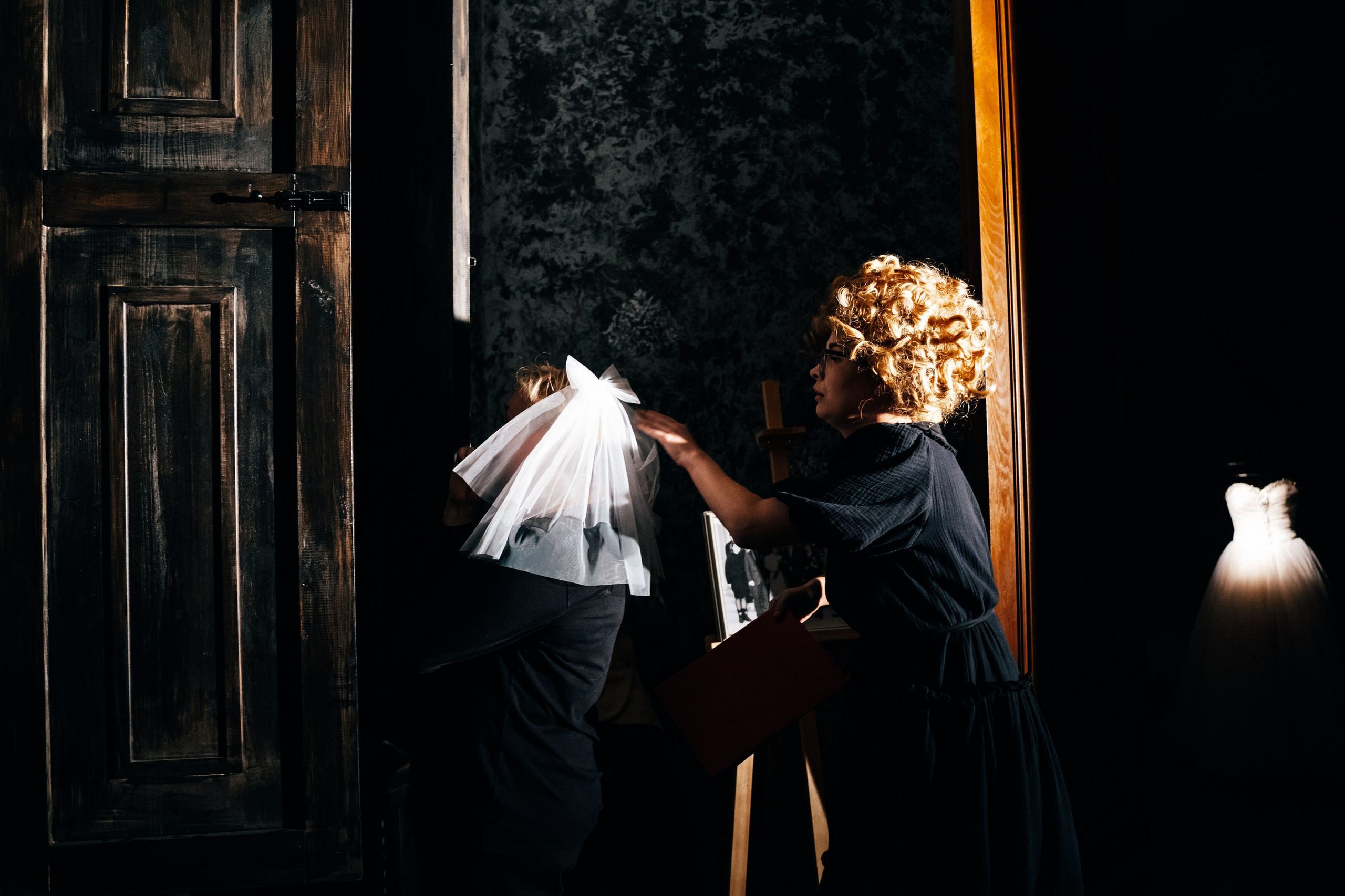 История особняка Демидова. Главная