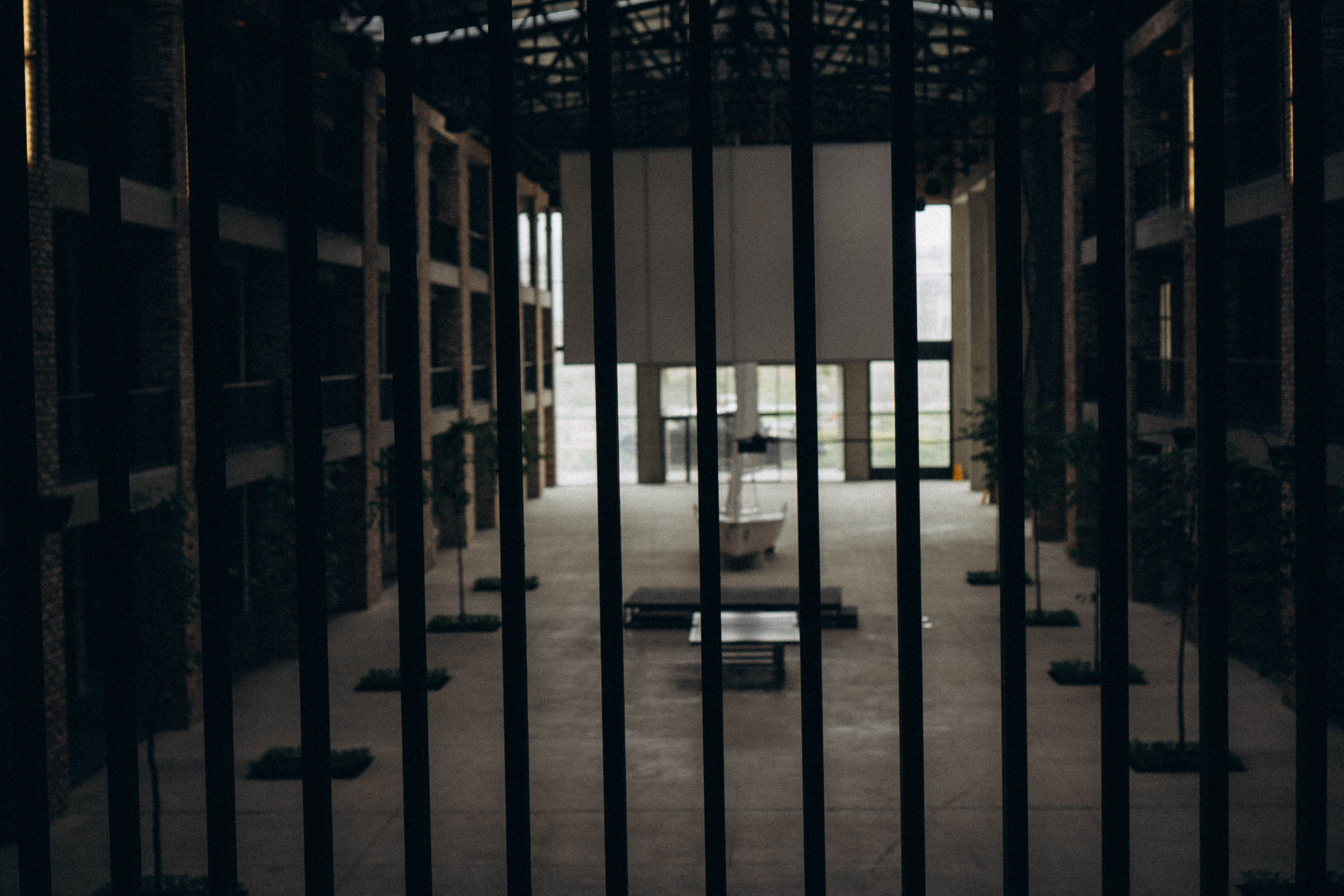 Кавказ. Профессиональный фотограф, Санкт-Петербург — Виктория Богомолова