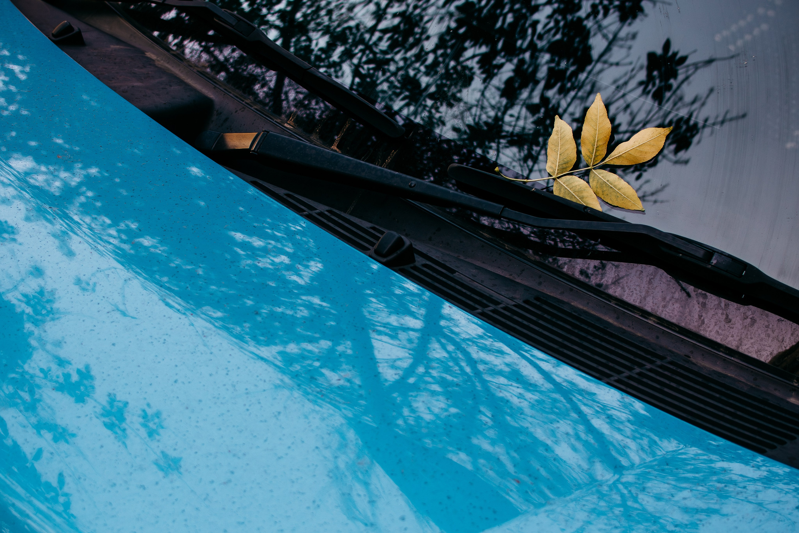 Untitled. Свадебный и Event фотограф в Москве | Андрей Губренко | Gubrenko