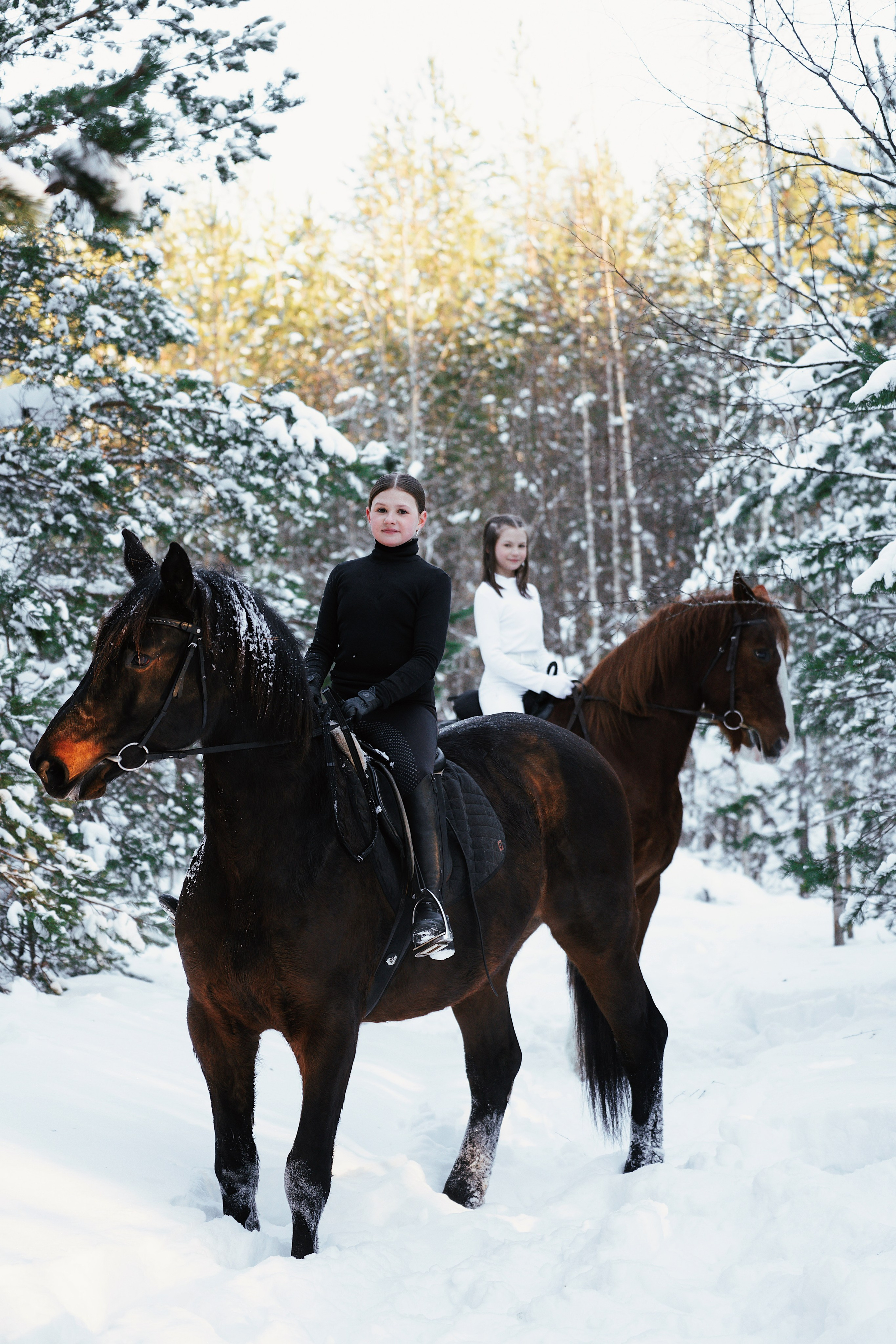 Конные. Фотограф Сибирика (Ирина Кузнецова), Санкт-Петербург и ЛО — портреты, свадьбы и семейные съемки. Творческий подход и качественные фото