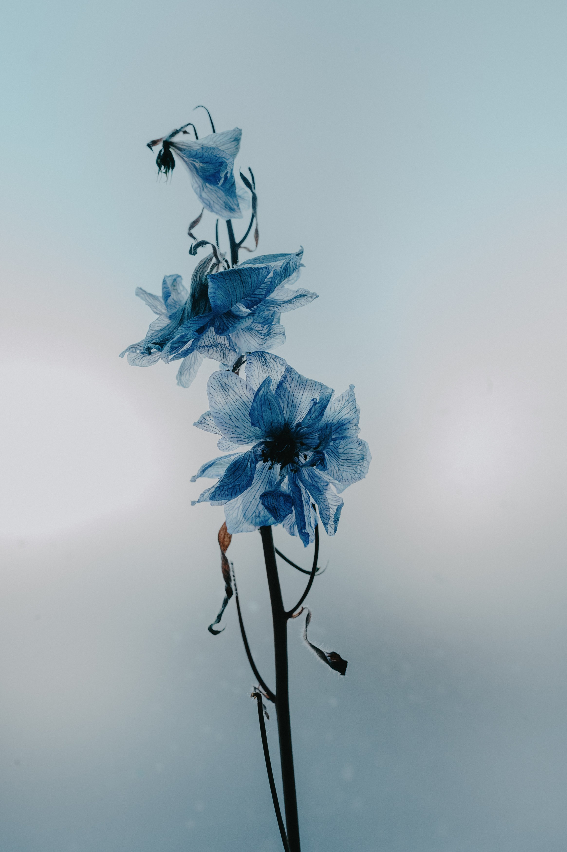 Контент фотограф Илья Урс