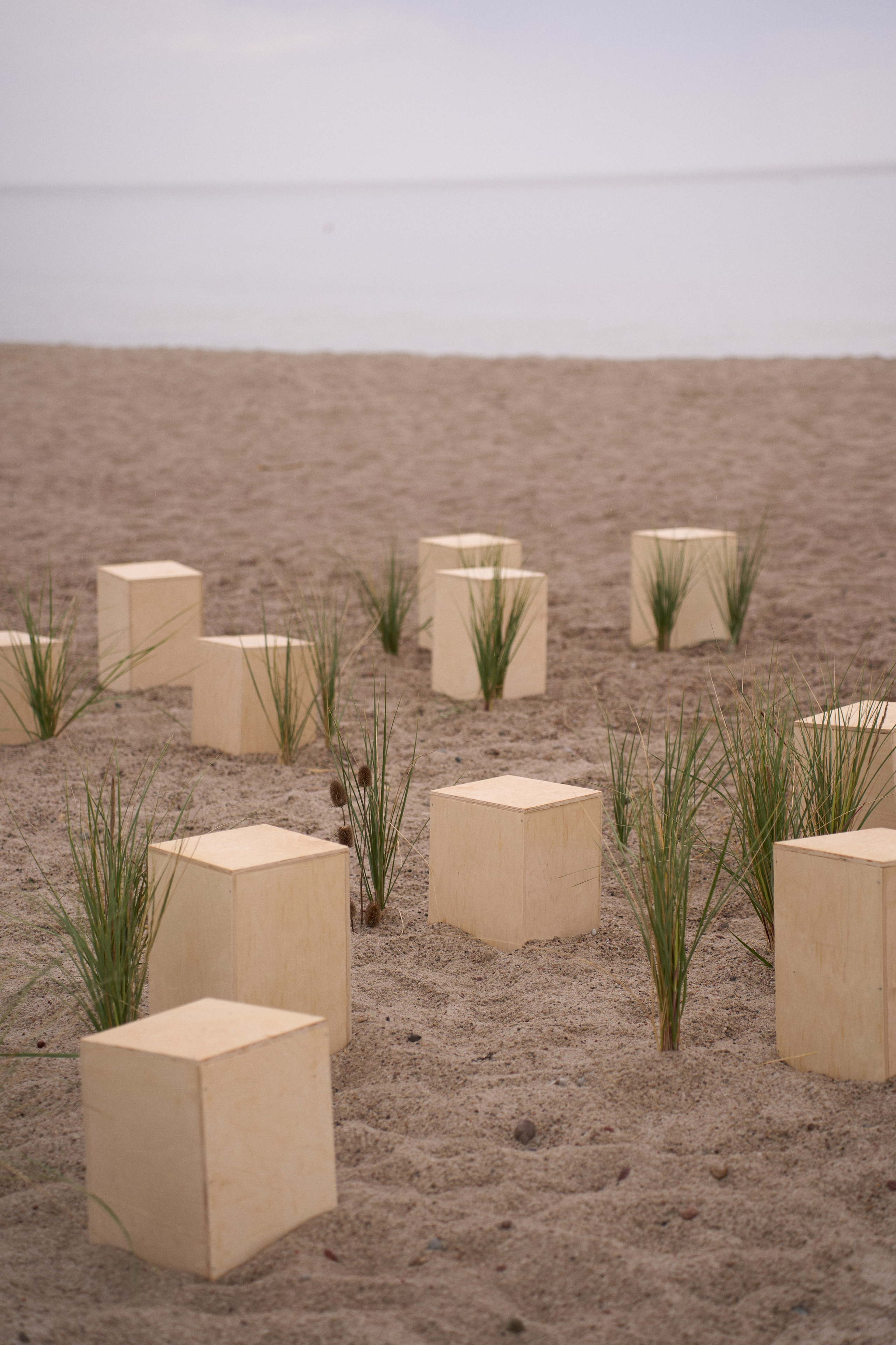 Янтарная свадьба. Калининград. Оформление свадеб, декор свадеб Вера Маркова, Москва