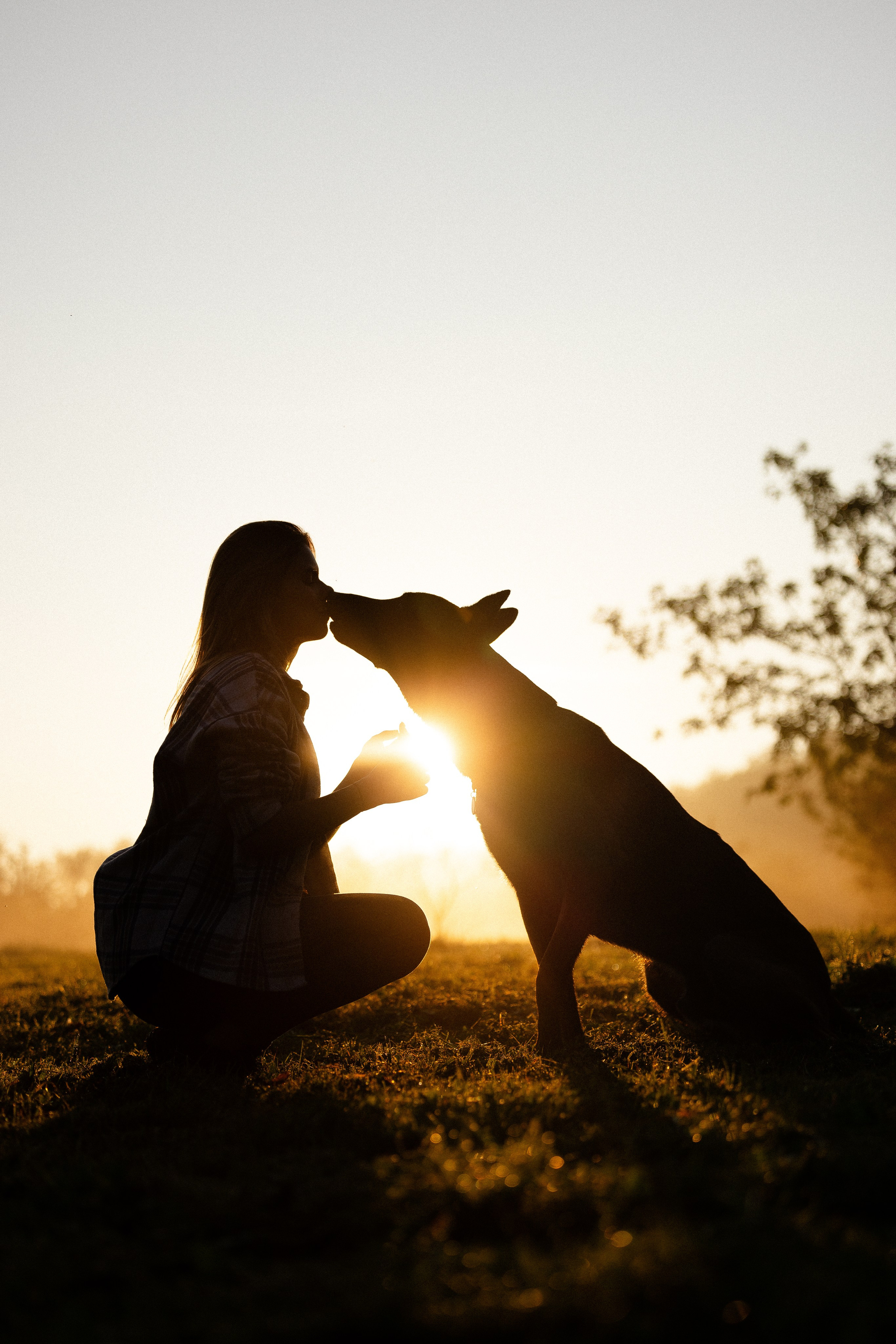 Галина и Кодекс. Фотограф и видеограф анималист Аганина Дарья