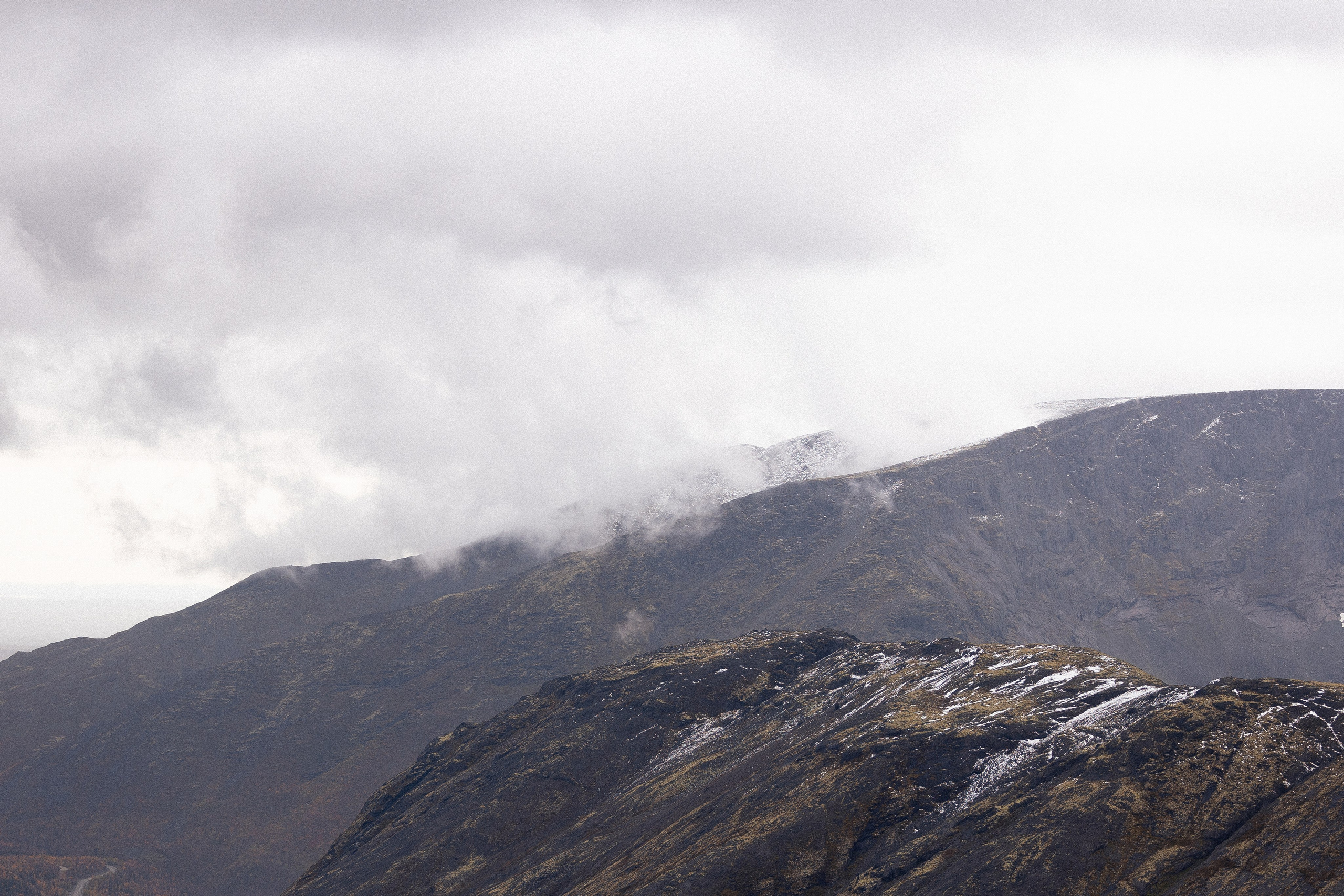 Кольский. Фотограф и видеограф анималист Аганина Дарья