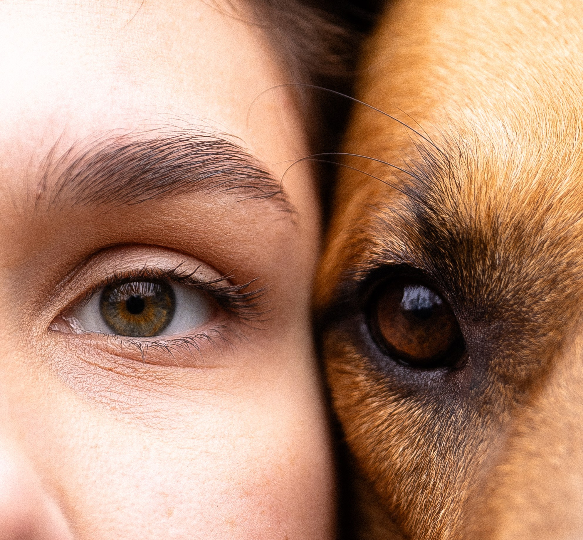 Karelia. Фотограф и видеограф анималист Аганина Дарья