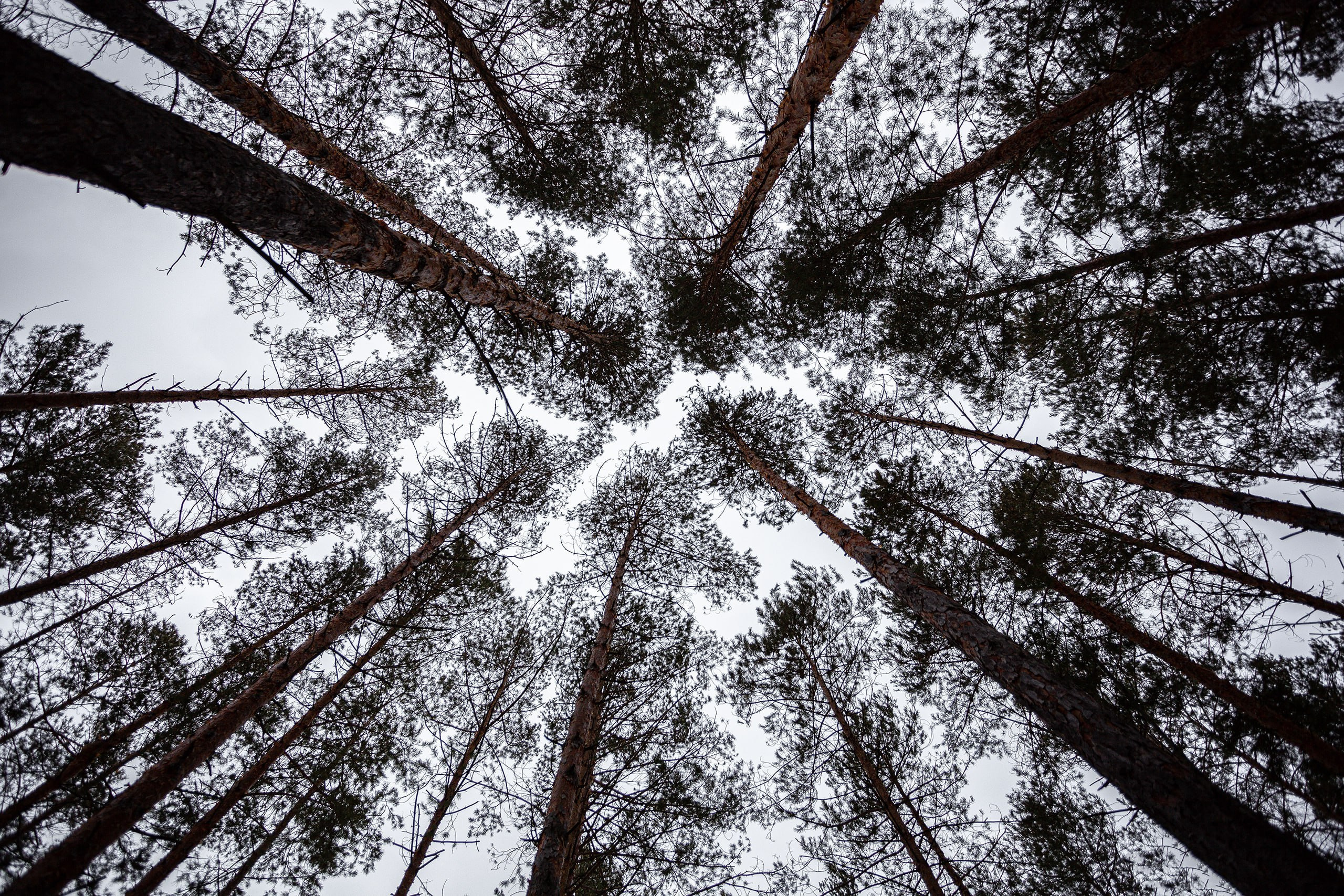 Архитектура. Design Muginov