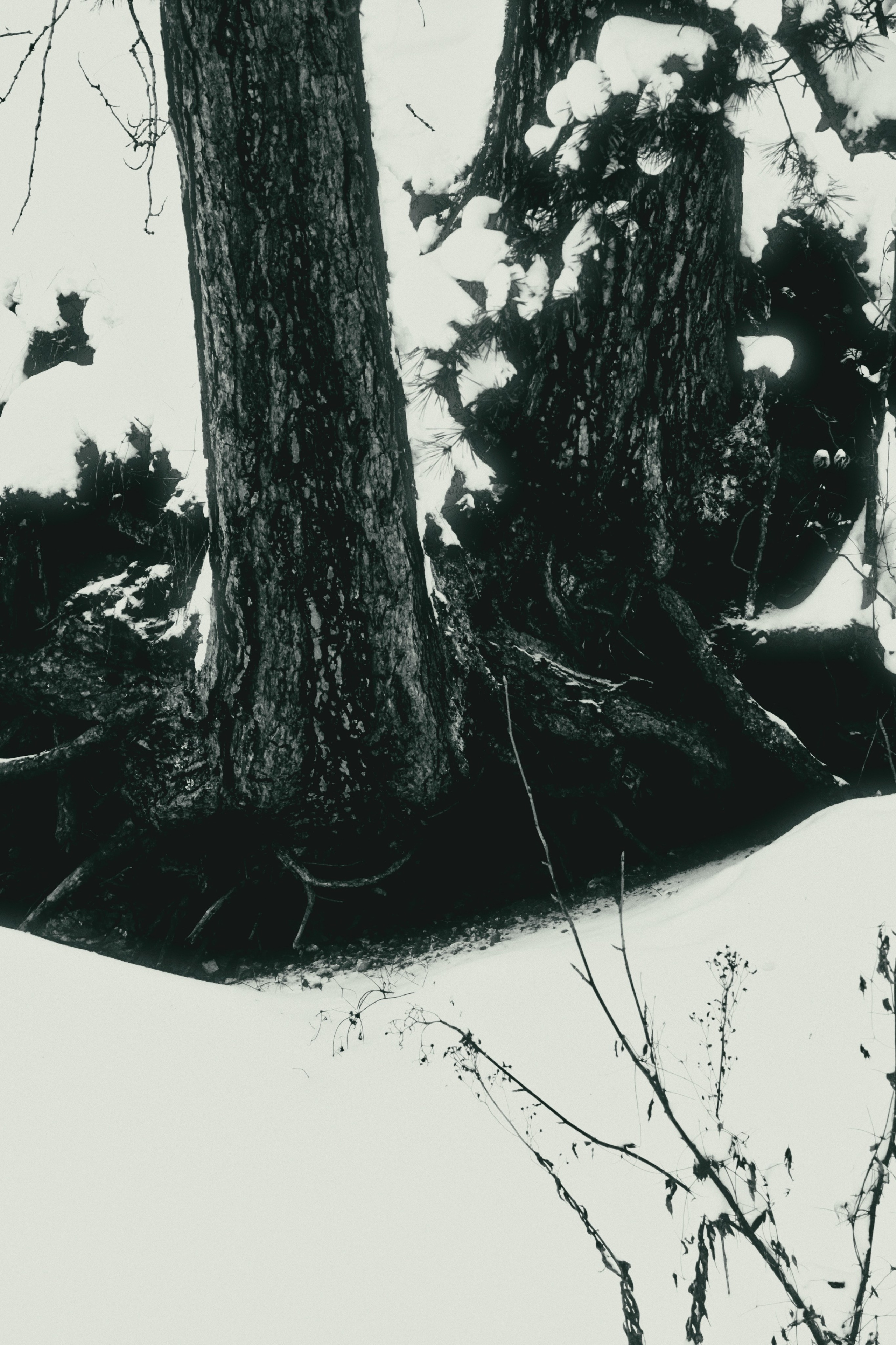 ЧБ. Фотограф-любитель из Кирова Андрей Погребняк