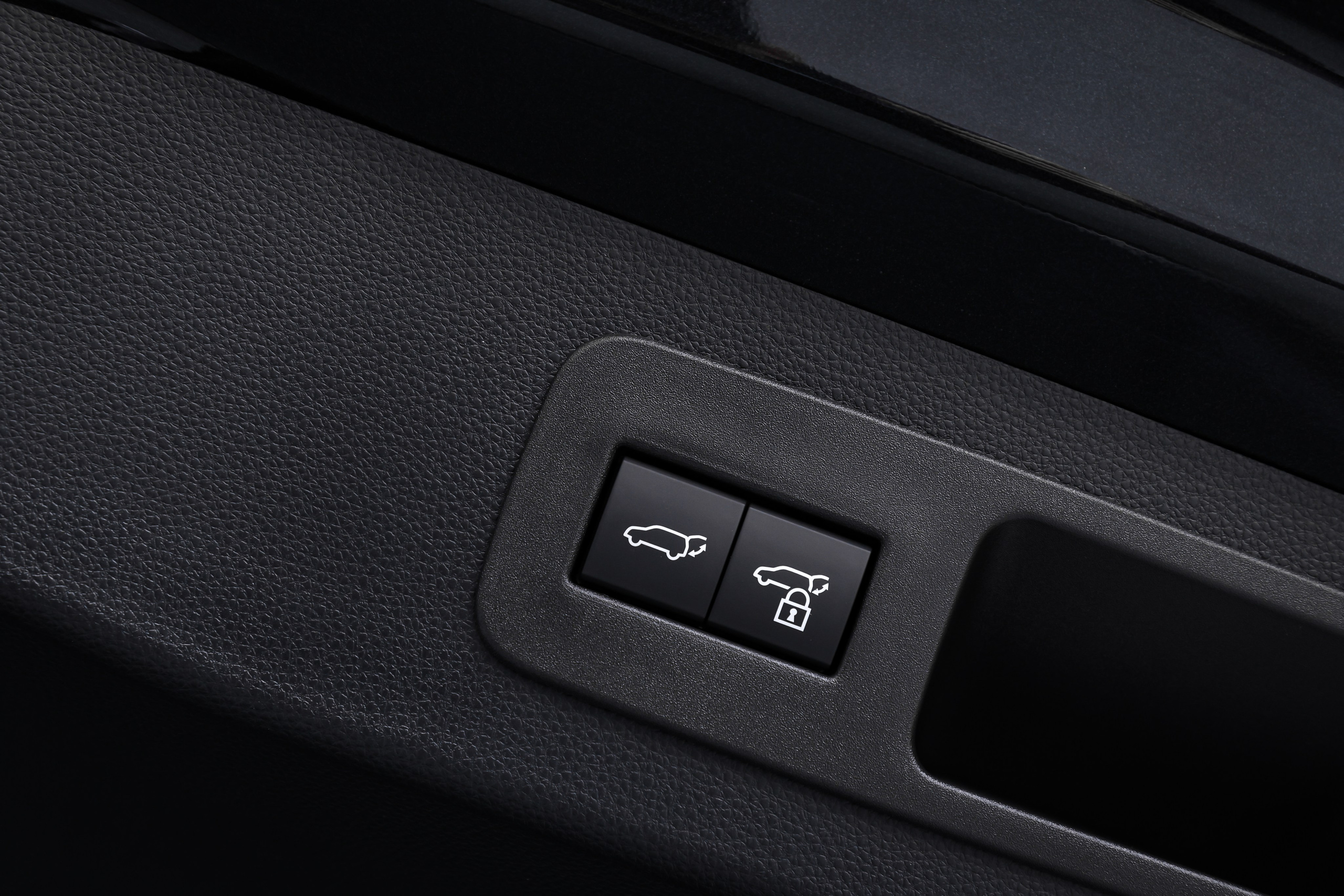 2024 LEXUS LX 500d. Mixturecaptures