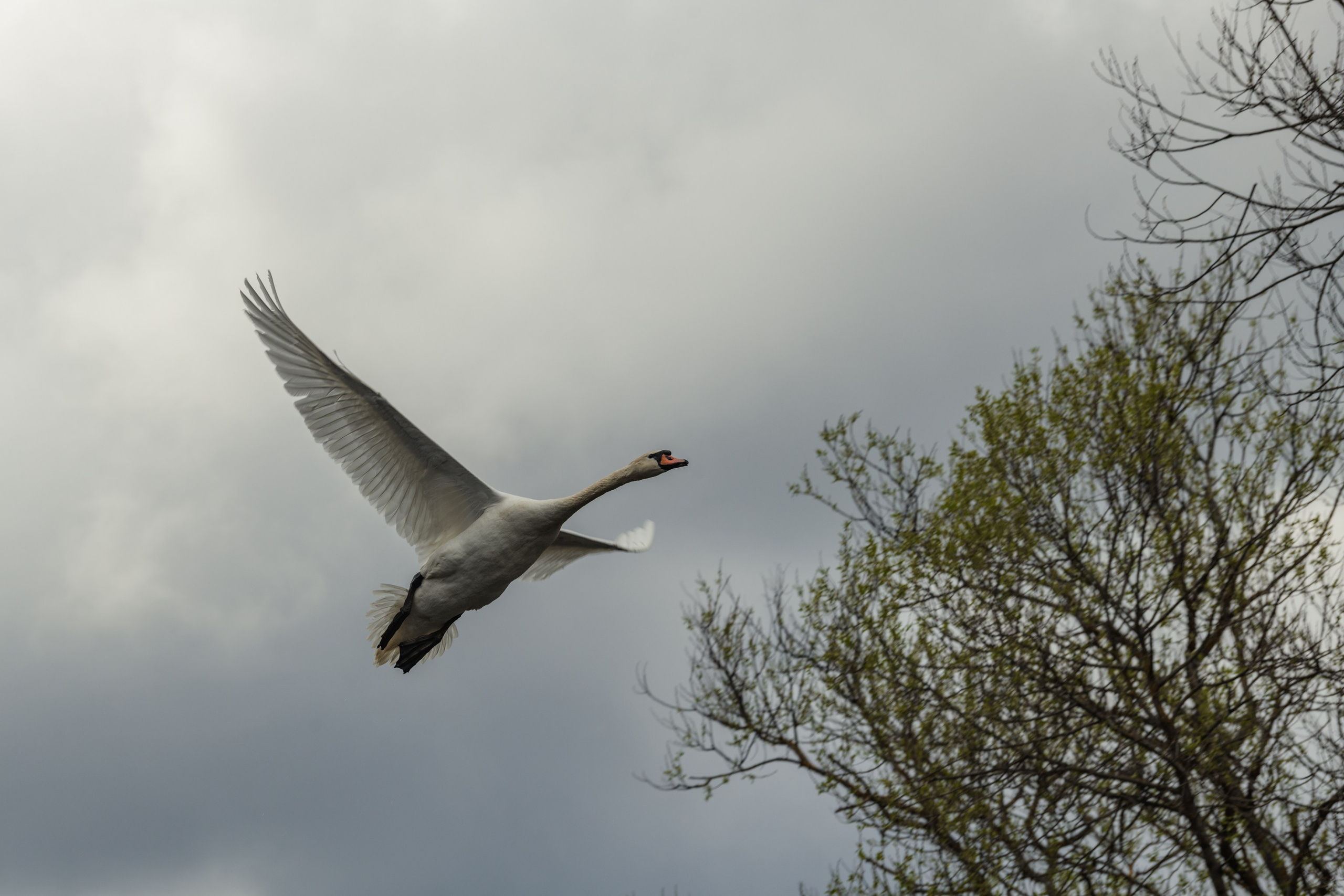 Водный поход 1-й кс по реке Случь. Репортажный фотограф Владимир Беляй