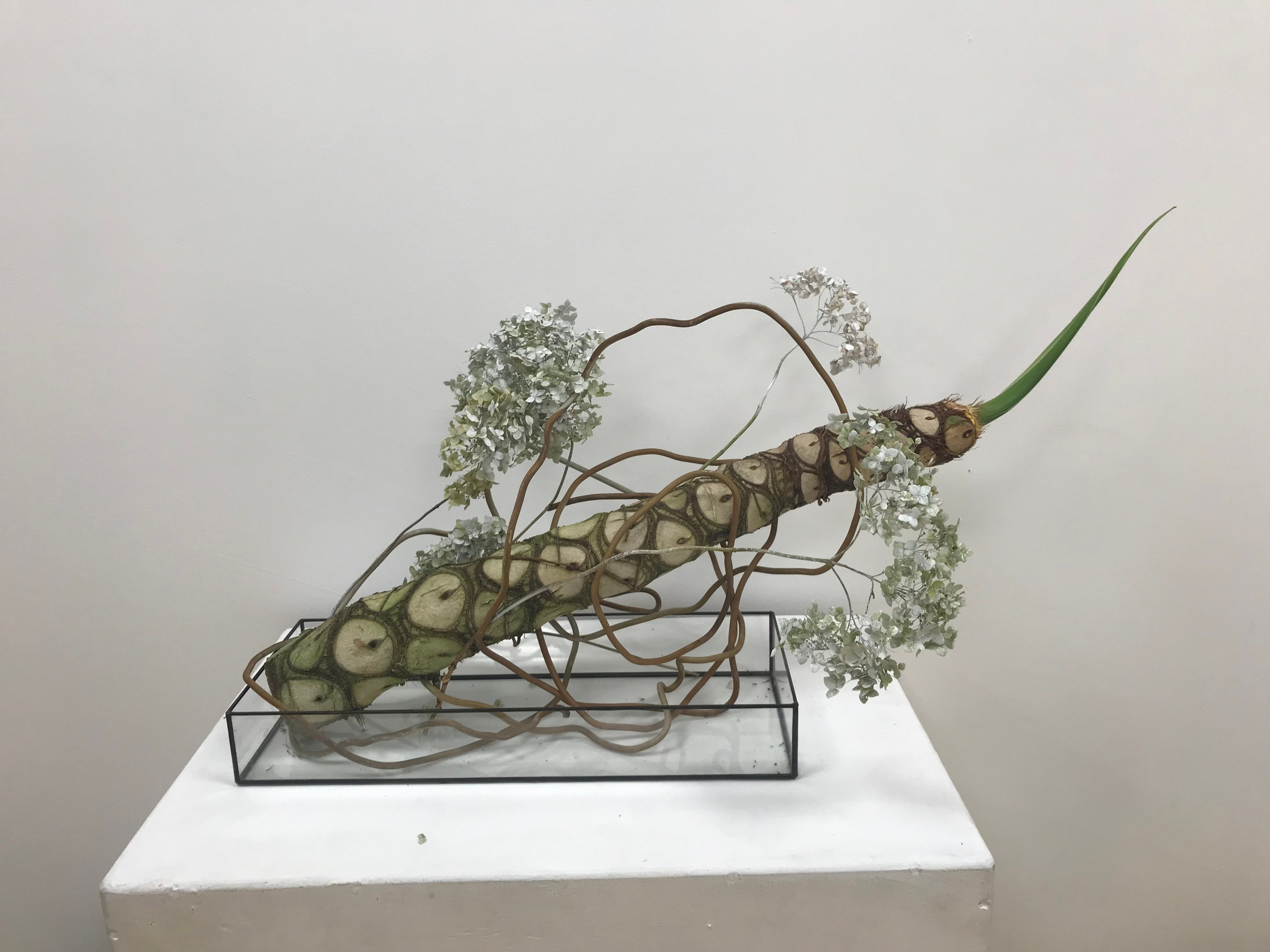 Икэбана Барне. Фотограф Анна Барне