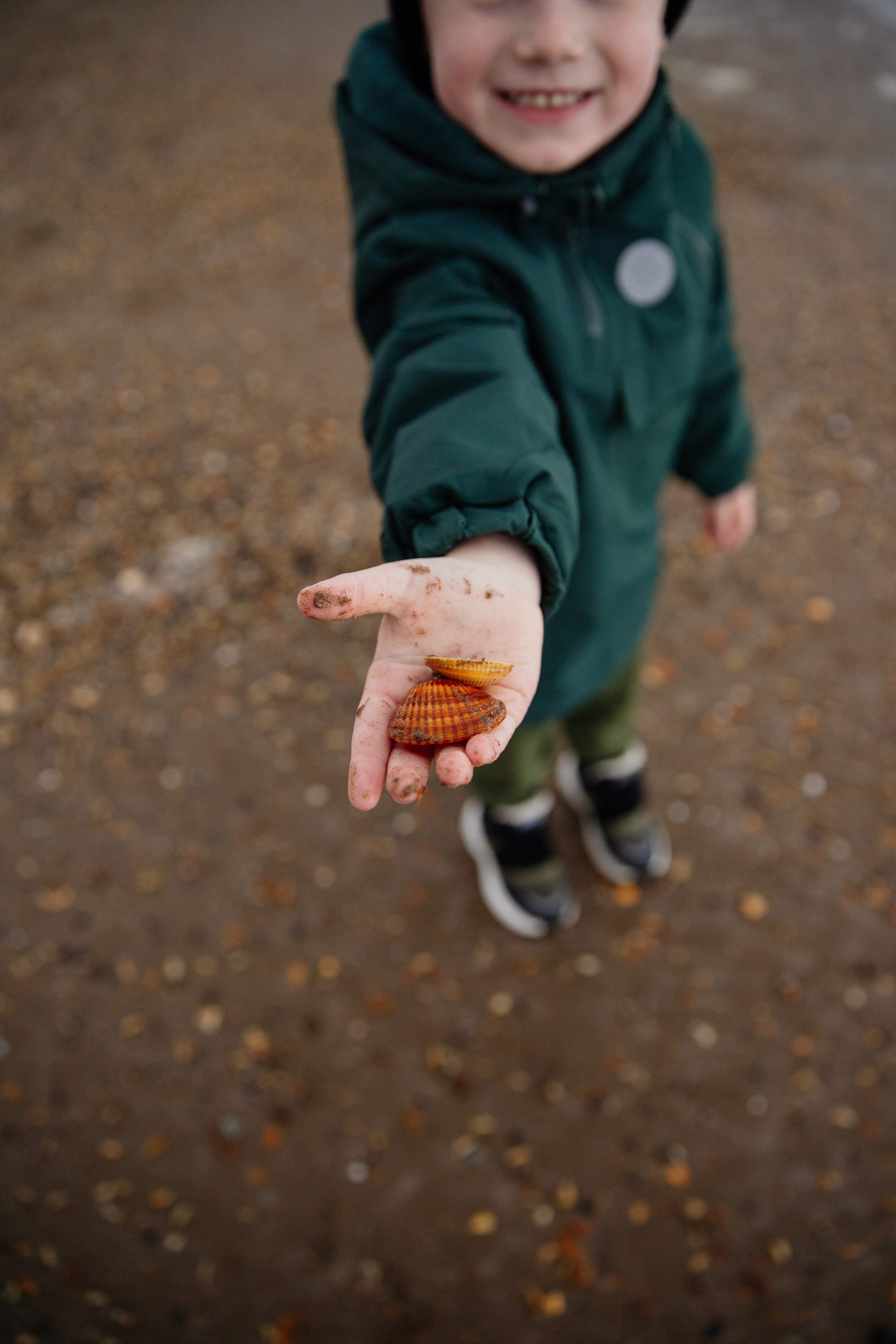 Семья Ланиных