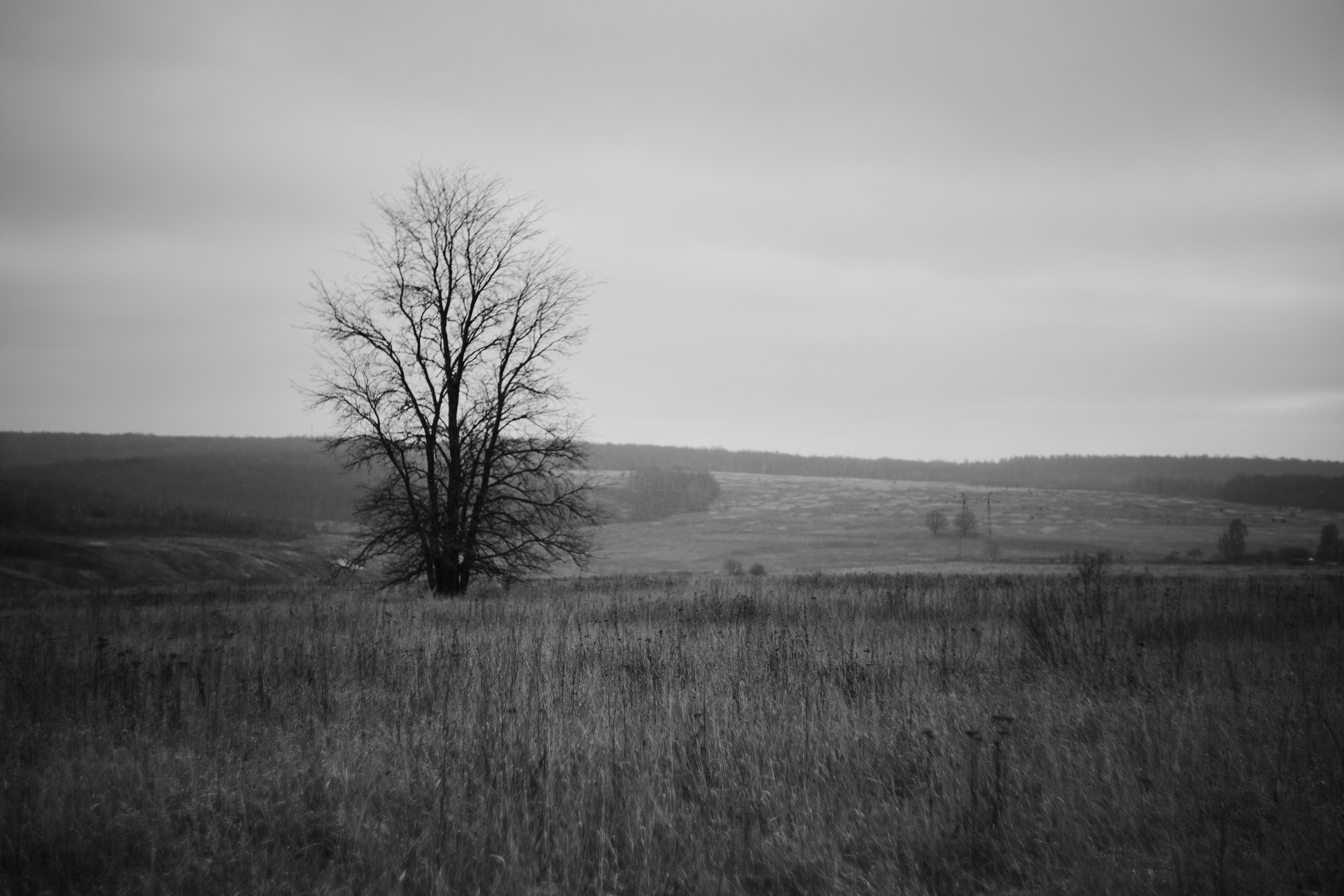 Пейзажная фотосъемка. Владимир Суздалов (ProMaXe) — Портретный фотограф, тематические фотосессии в Чебоксарах