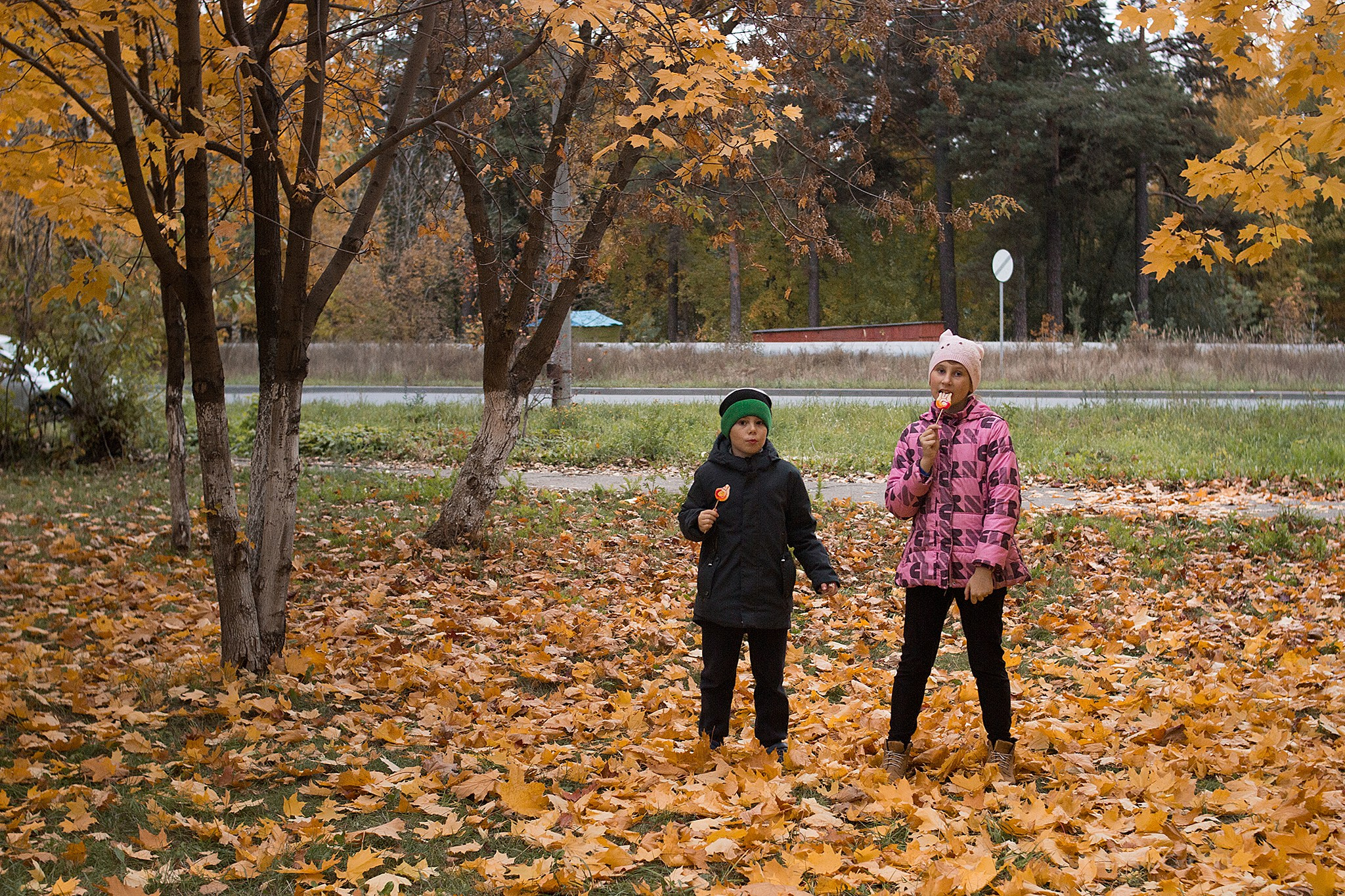 Осенние забавы. Детский и семейный фотограф, фотограф мероприятий Нижний Новгород