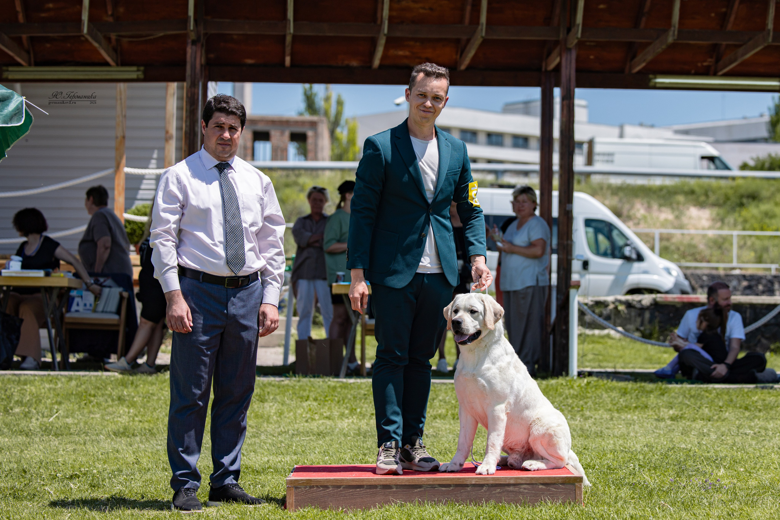 Ереван 3-5.06.2024. Фотограф-анималист Юлия Германика