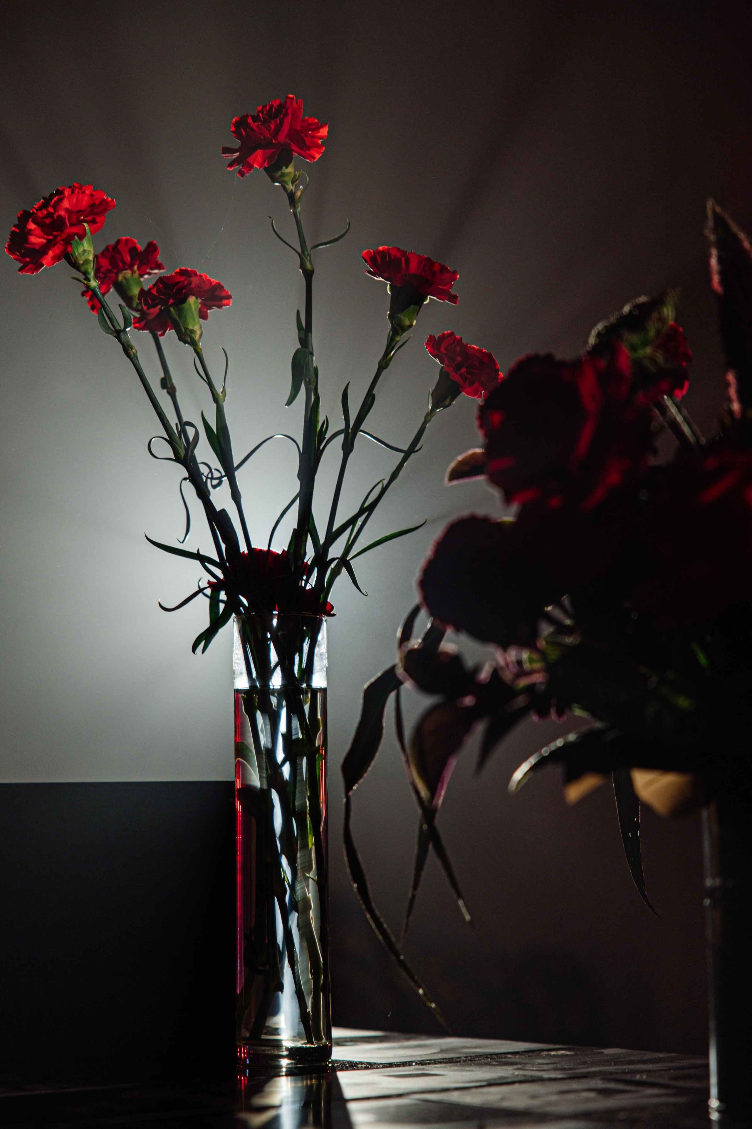 Второе рождение. Репортажный фотограф Ольга Кочетова в Москве