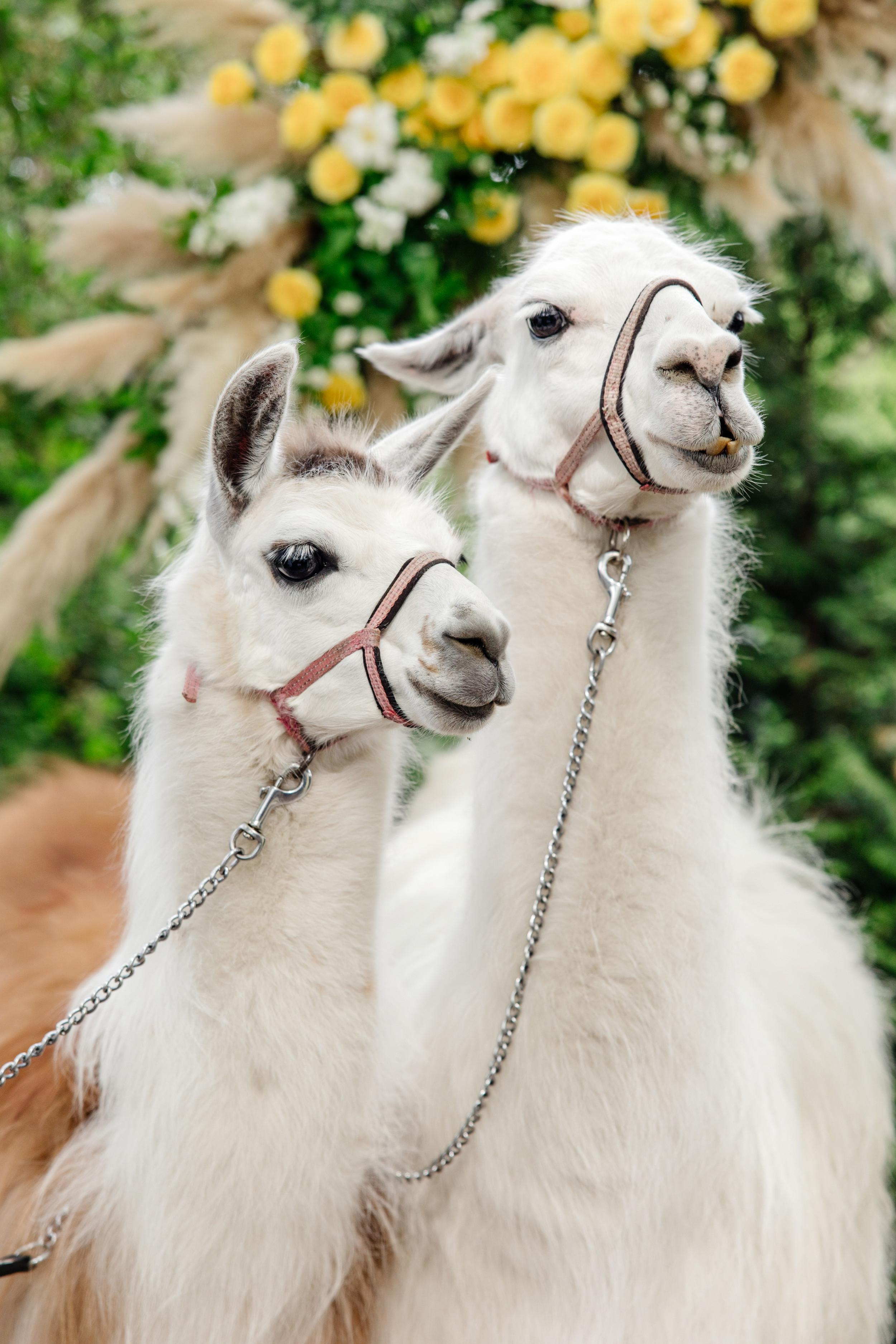 Hyatt Regency. Репортажный фотограф Ольга Кочетова в Москве