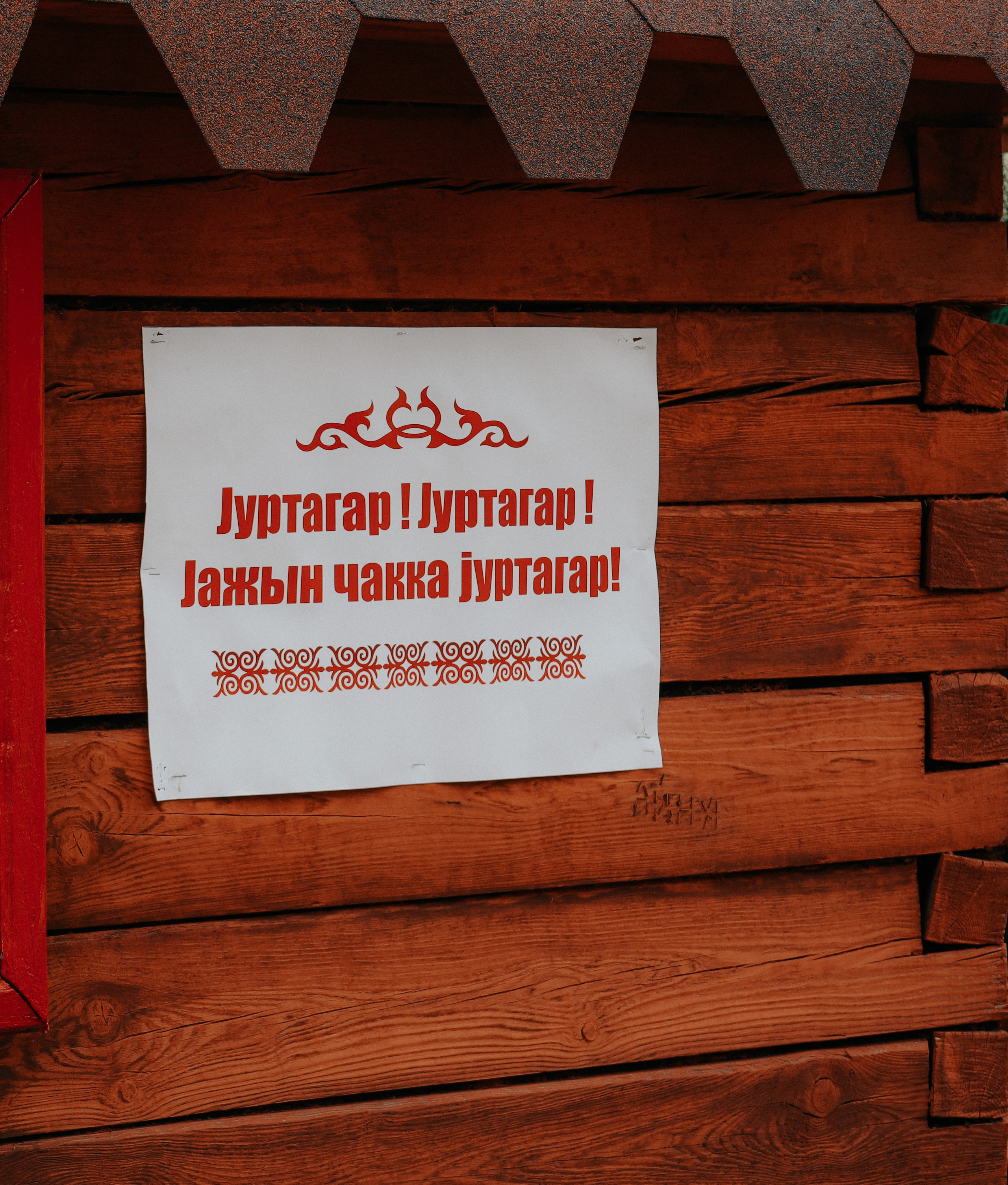 Байнур и Саша (Алтай той). Фотограф Горный Алтай