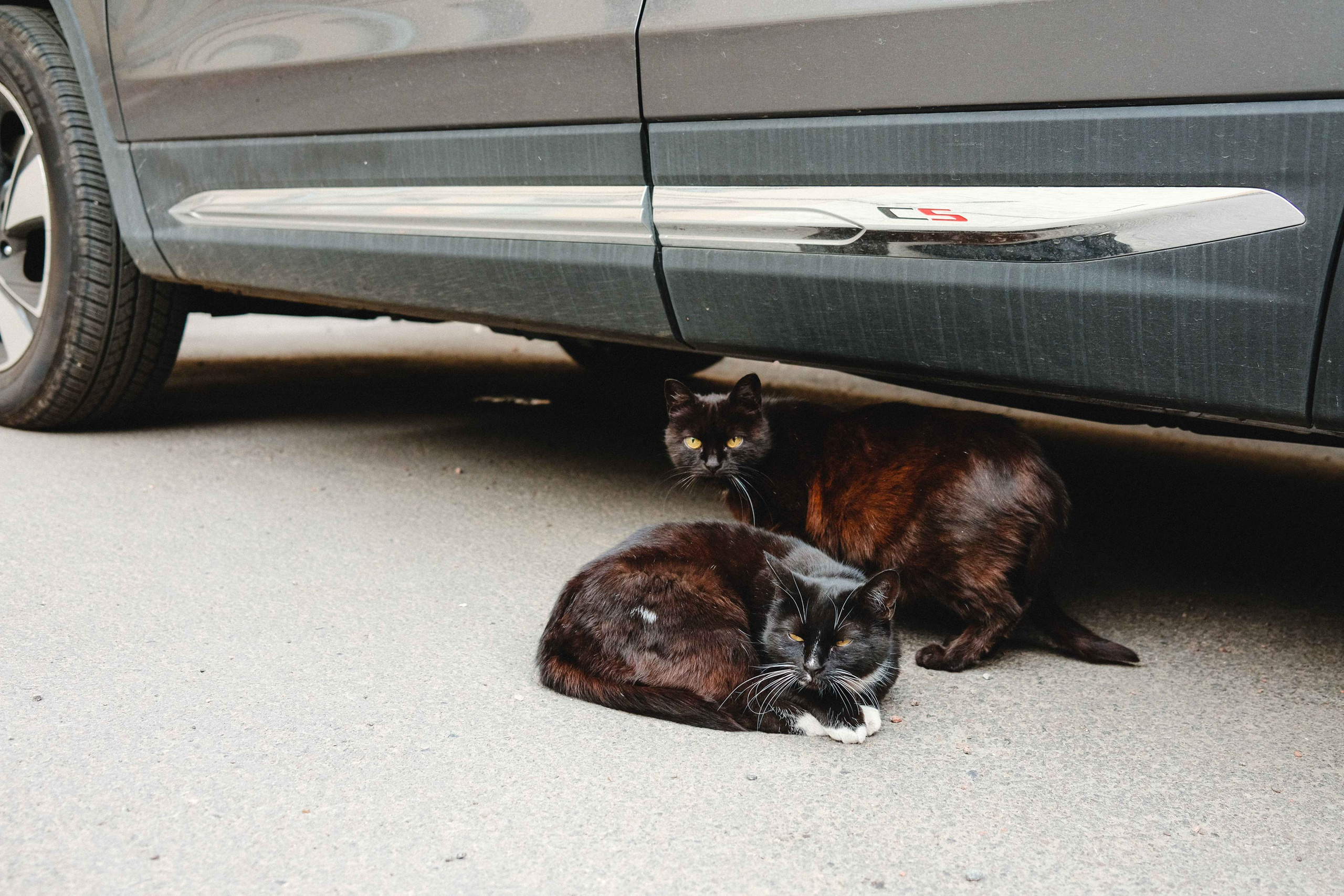 2023.07. Фотограф Алексей Алексеев