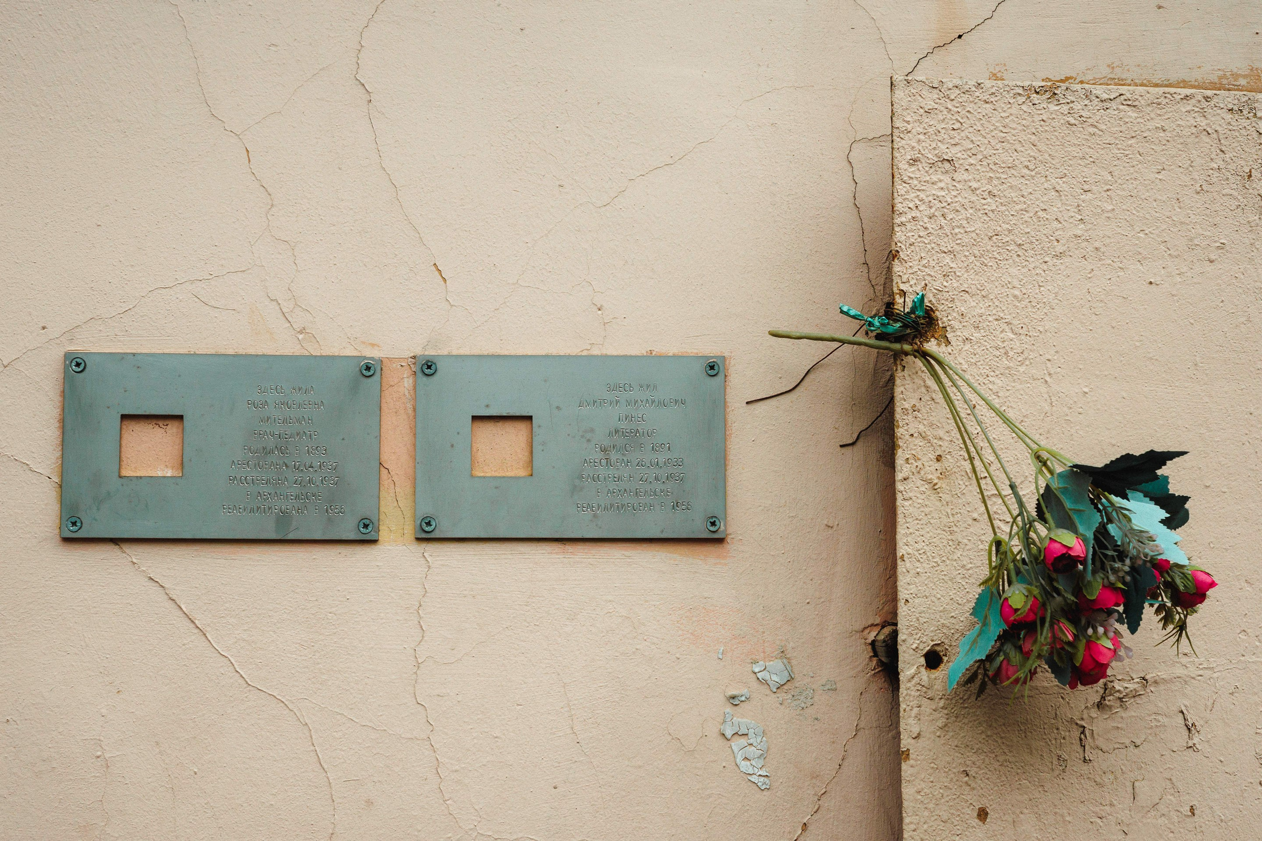 2025.06. Фотограф Алексей Алексеев