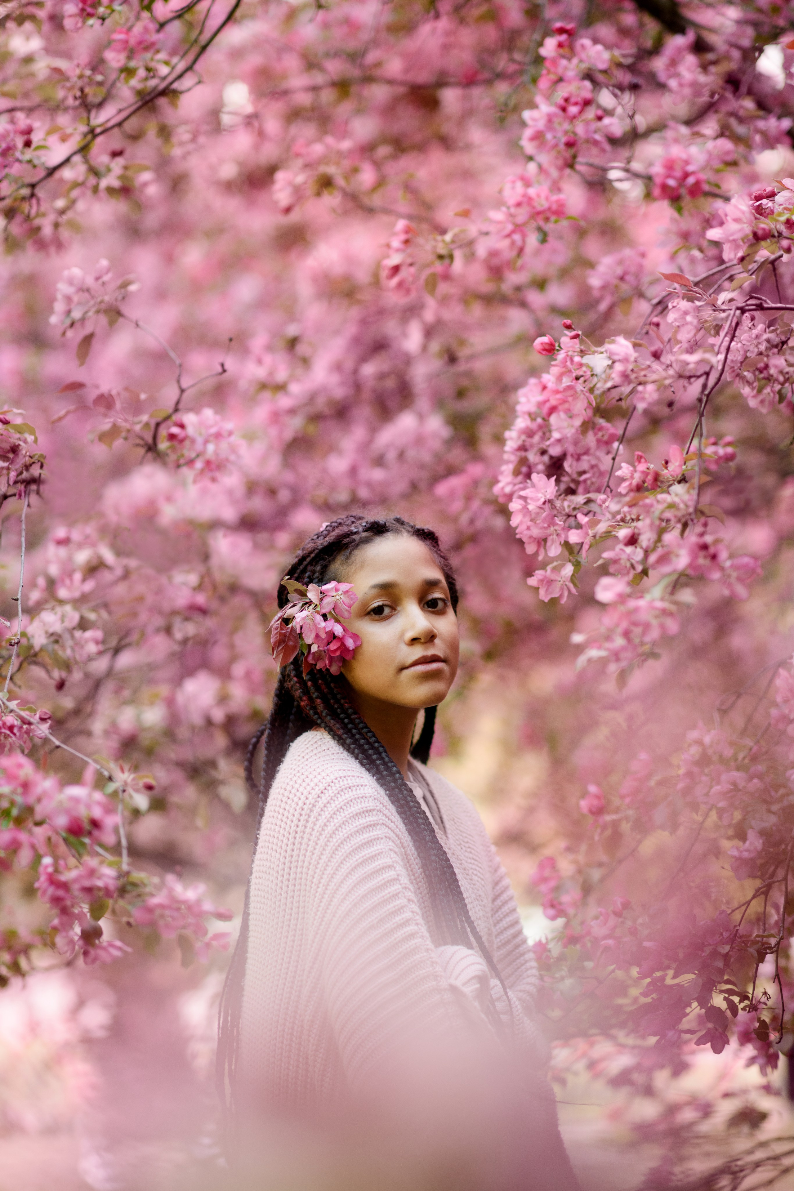 Яблони в Коломенском. Ясмина. Главная