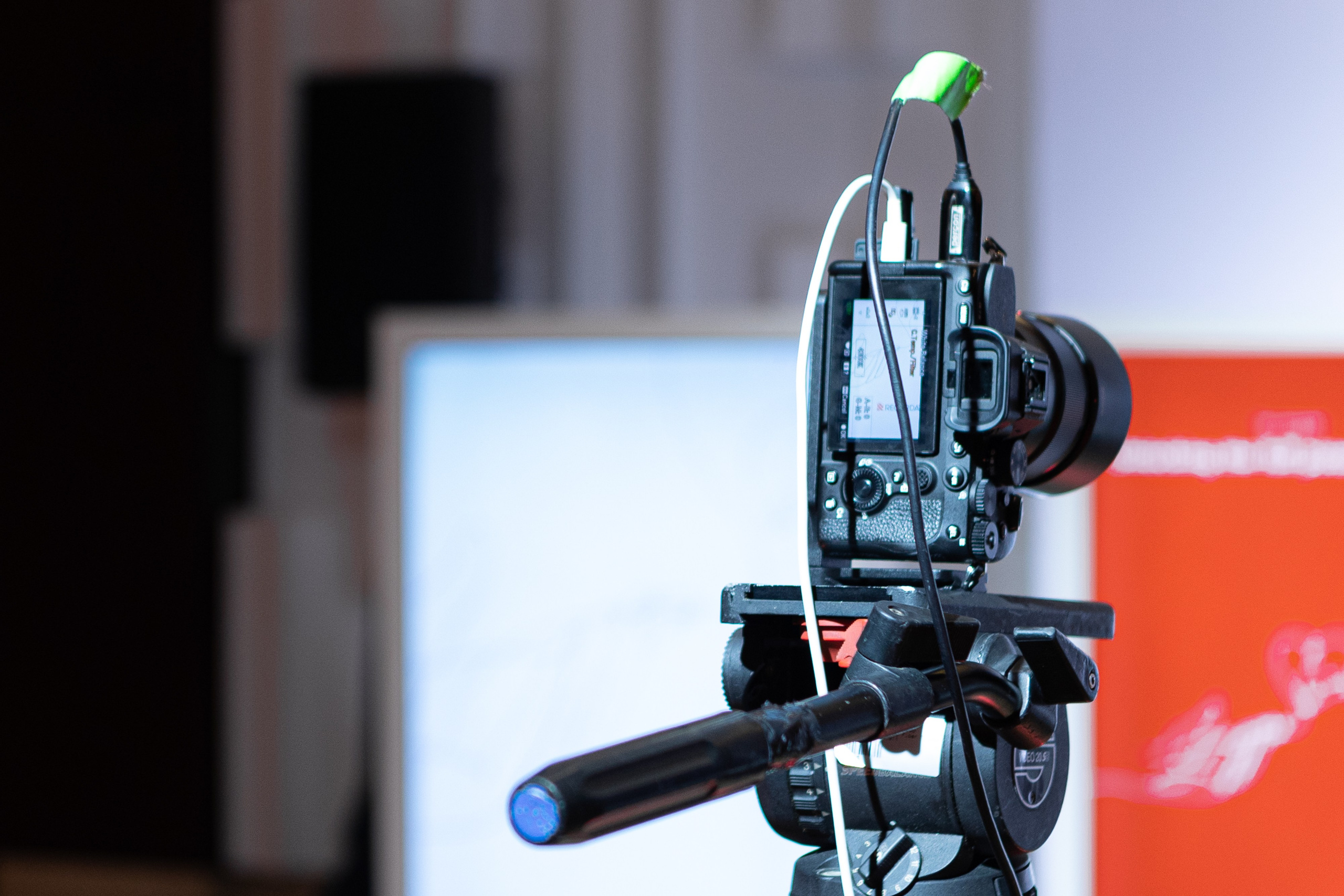 Abu-Dhabi | NA VOLNE Backstage. Фотограф Юлия Назарова