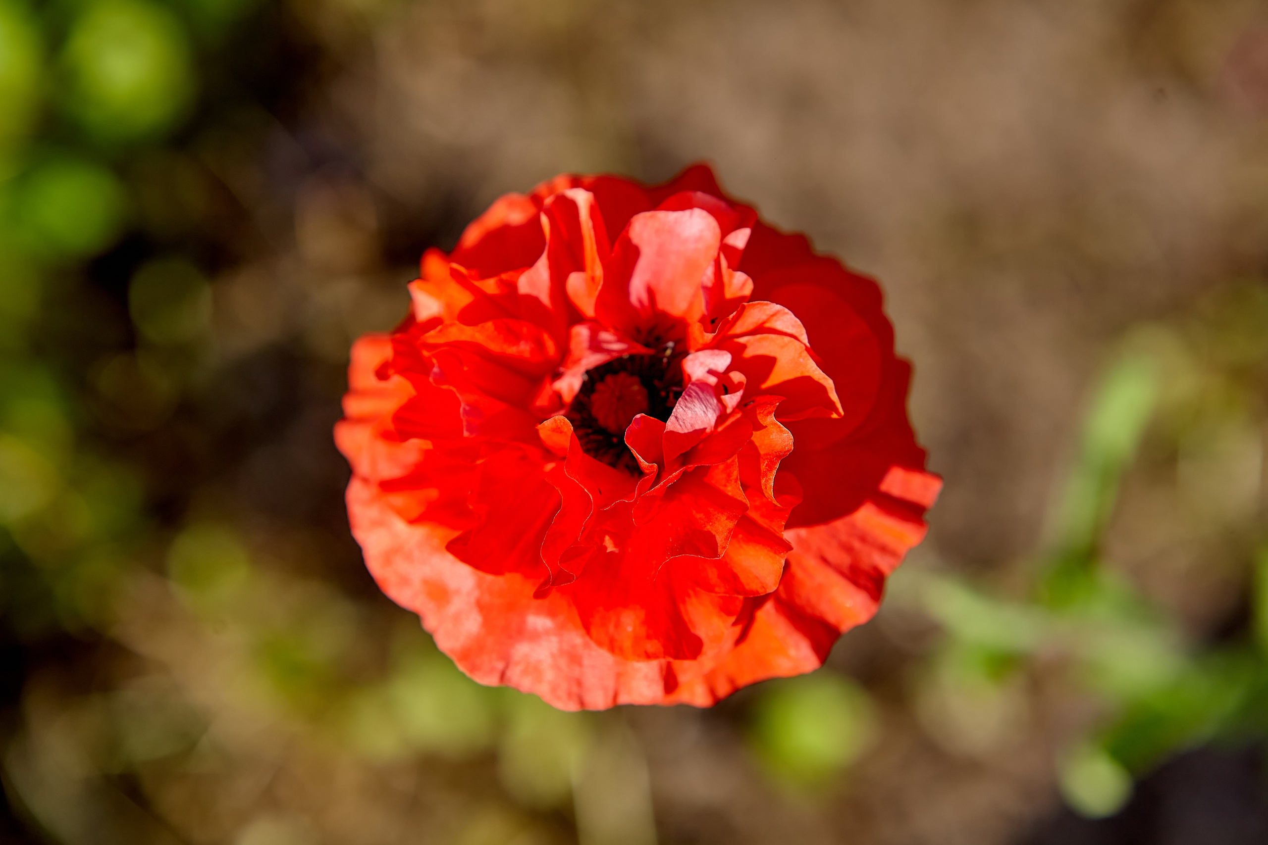 Фотографии природы