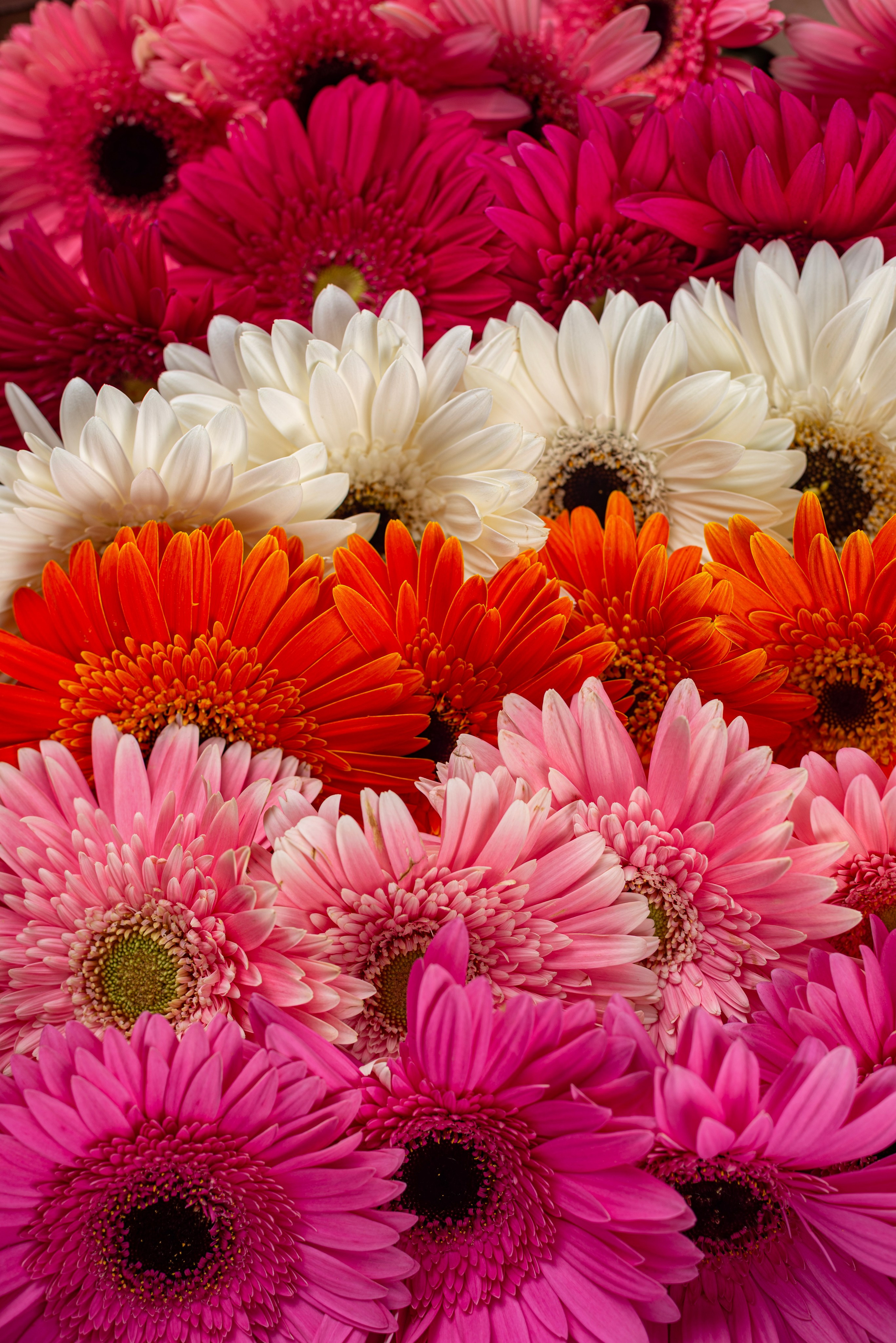 Предметная съемка. ФОТОГРАФ КРАСНОДАР КРАСНОДАРСКИЙ КРАЙ