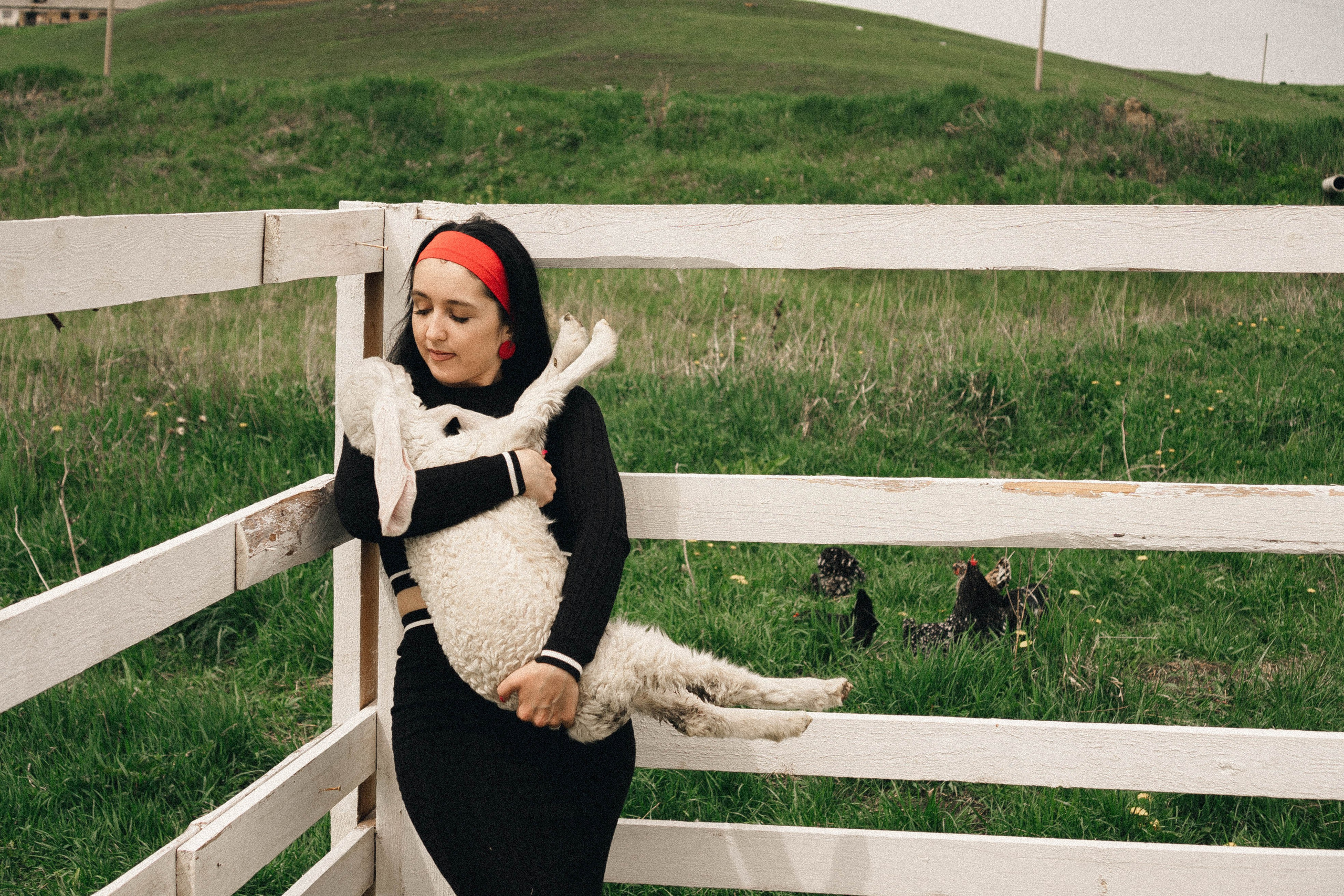 Ферма Альпак. Профессиональный фотограф, Санкт-Петербург — Виктория Богомолова