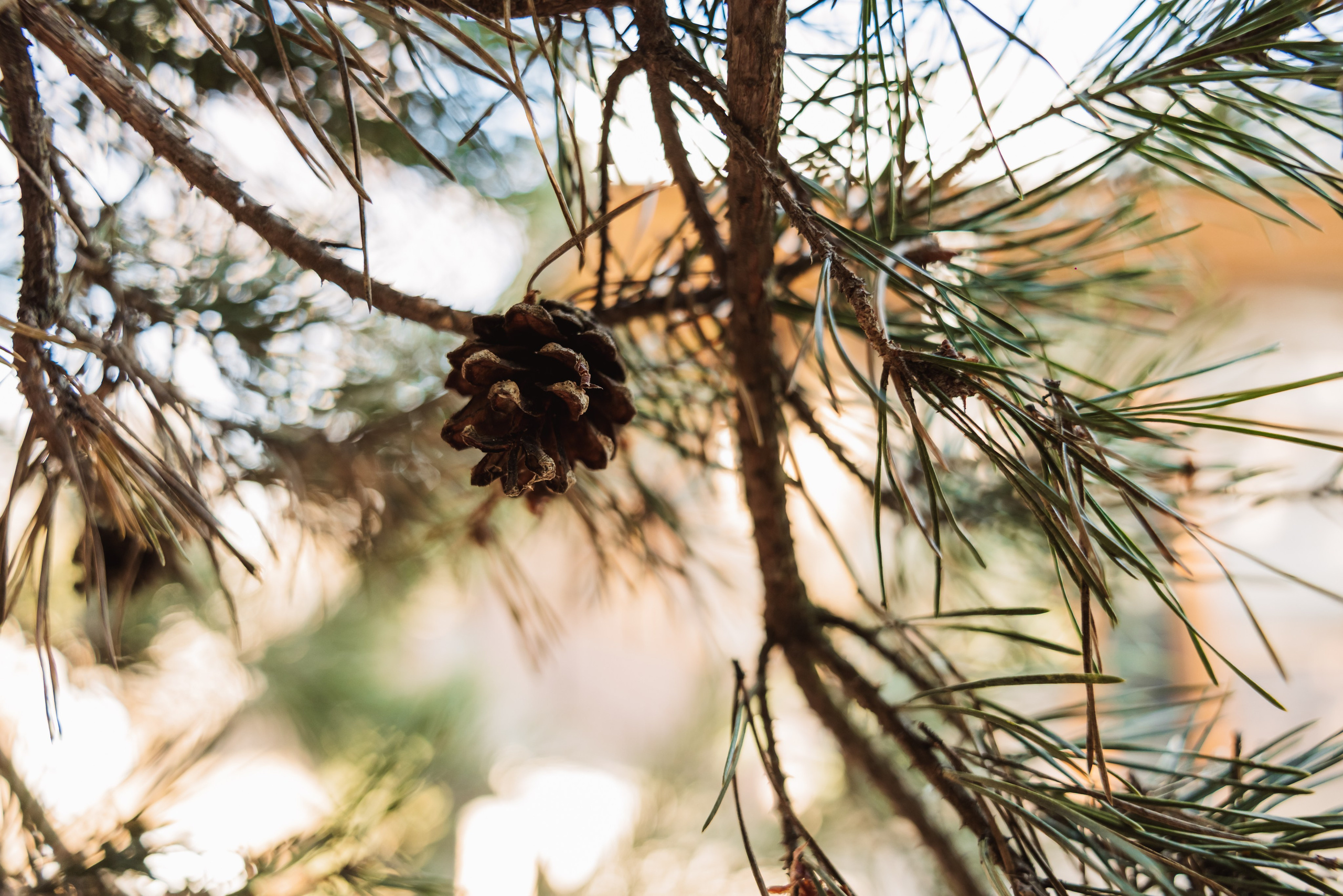 KUKSA|ТО, ЧТО ТЕБЯ СОГРЕВАЕТ|Кело-баня на дровах, г. Коломна. ФОТОГРАФ ИРИНА ШАМАТАВА