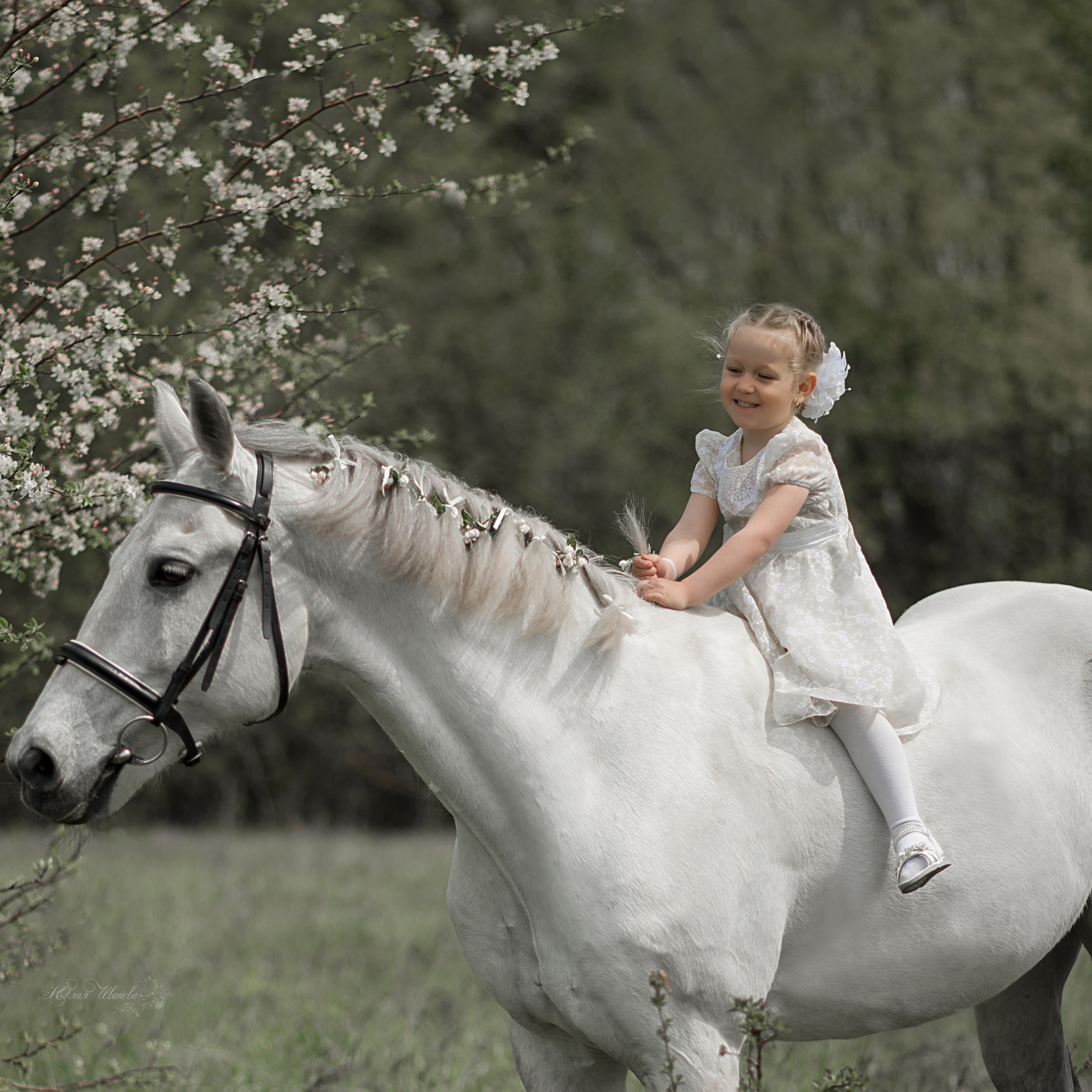 Мирослава и Гипноз. Конный фотограф в Саратове Юлия Иванова