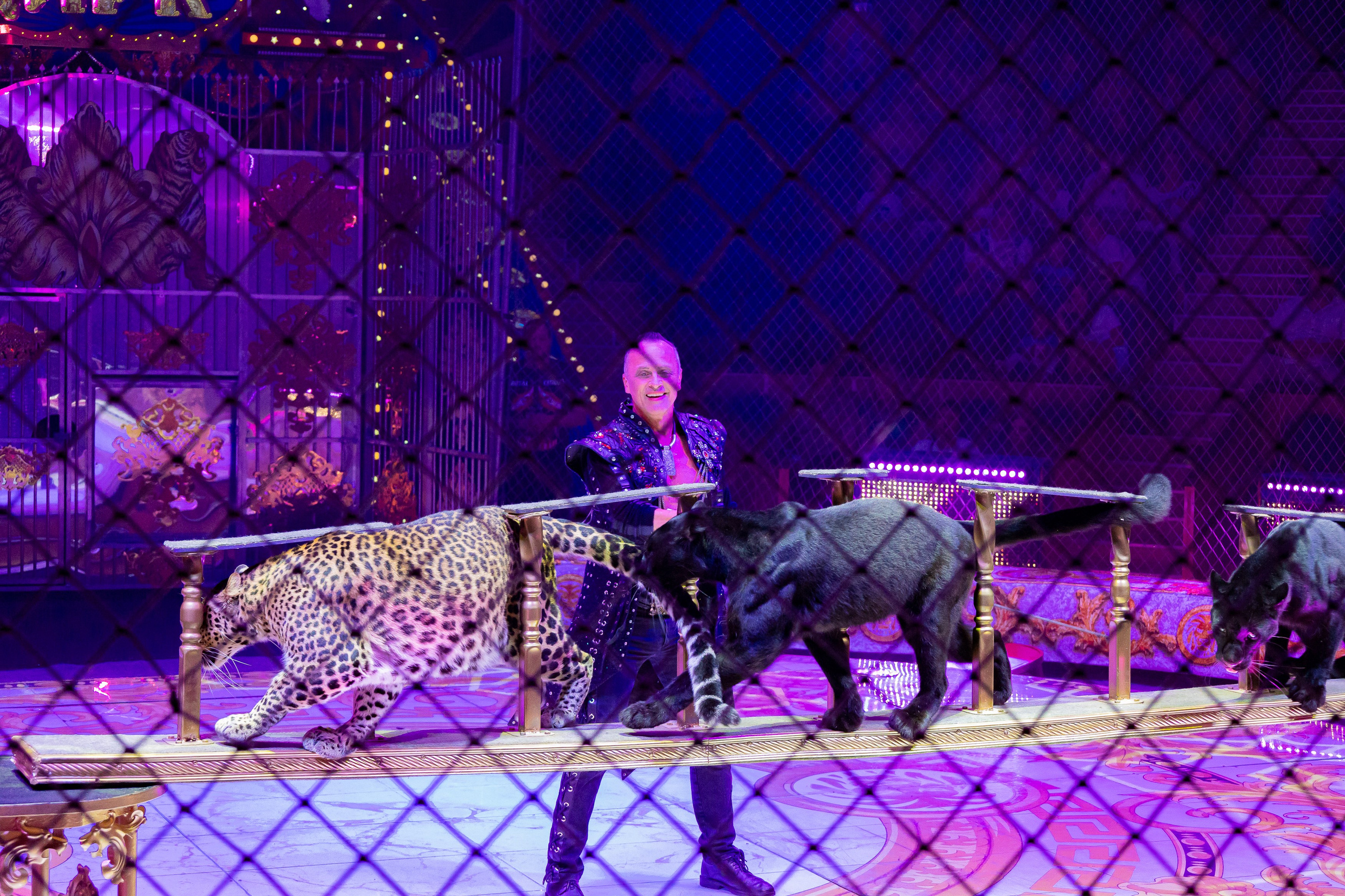 Цирк ГИИ ЭРАДЗЕ. Семейный и Свадебный фотограф в Сочи