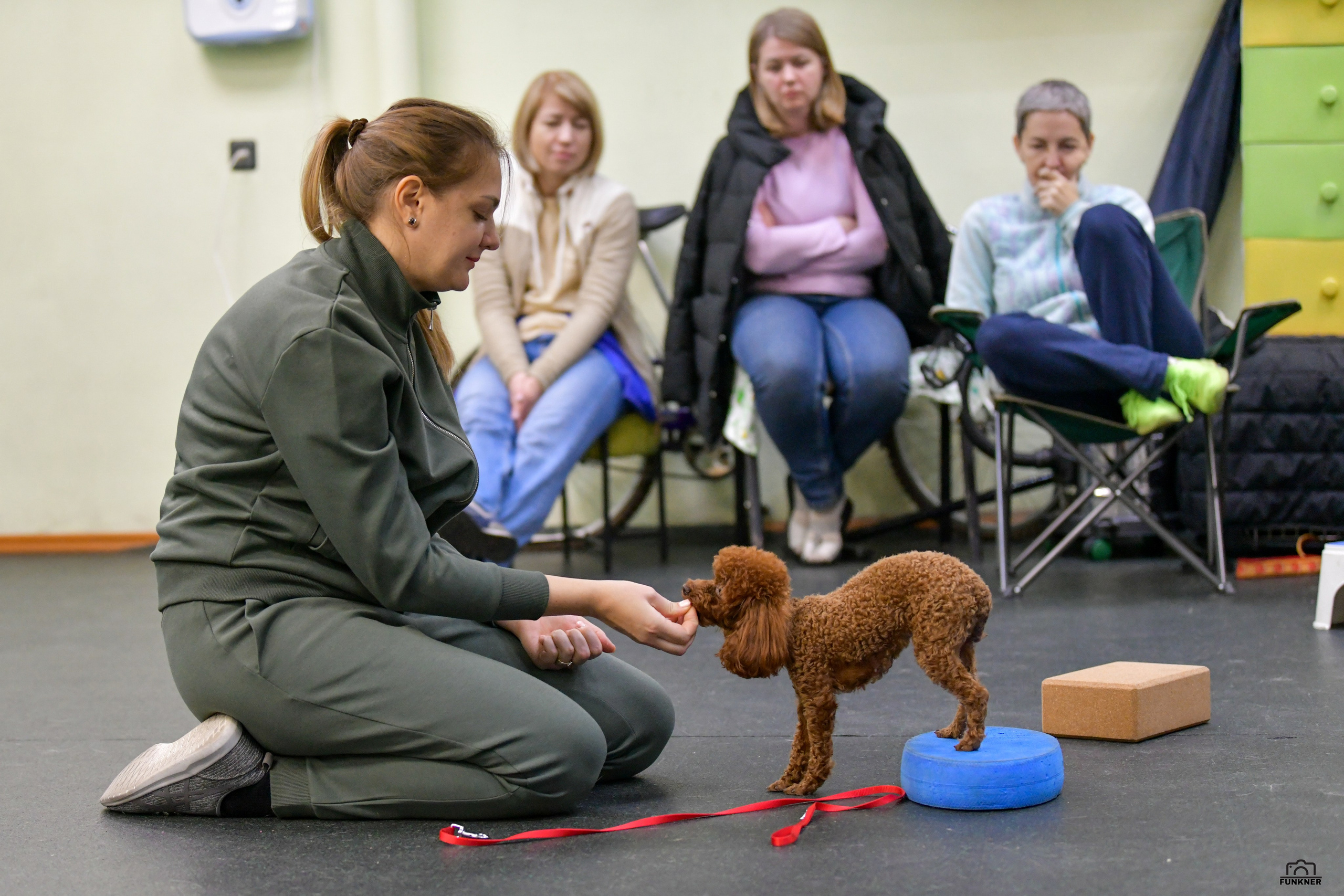Кинологический клуб «Бодрый хвост». Свой взгляд через объектив