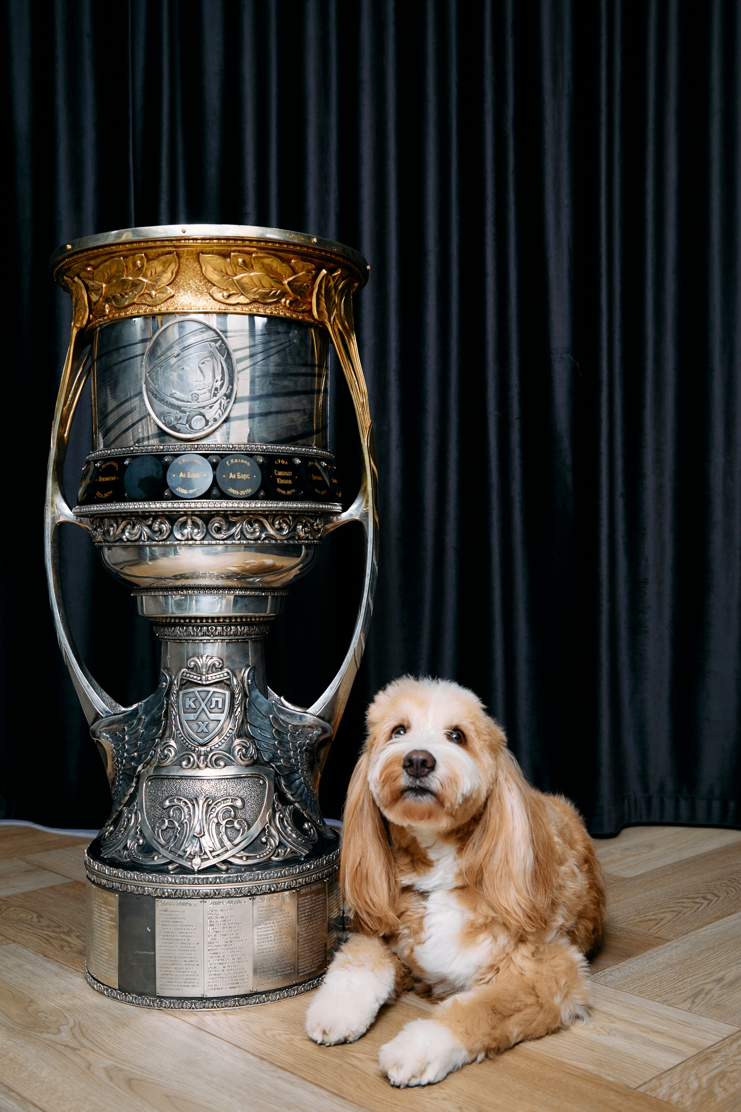 День с кубком Гагарина. Главная