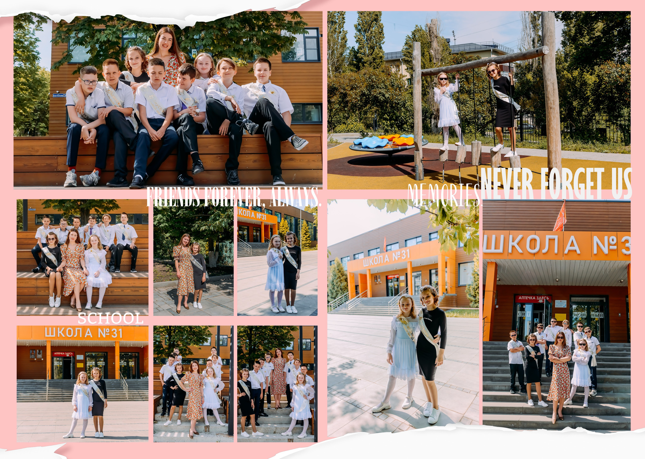 «Розовая и синяя бумага 2025». ALBUMIA