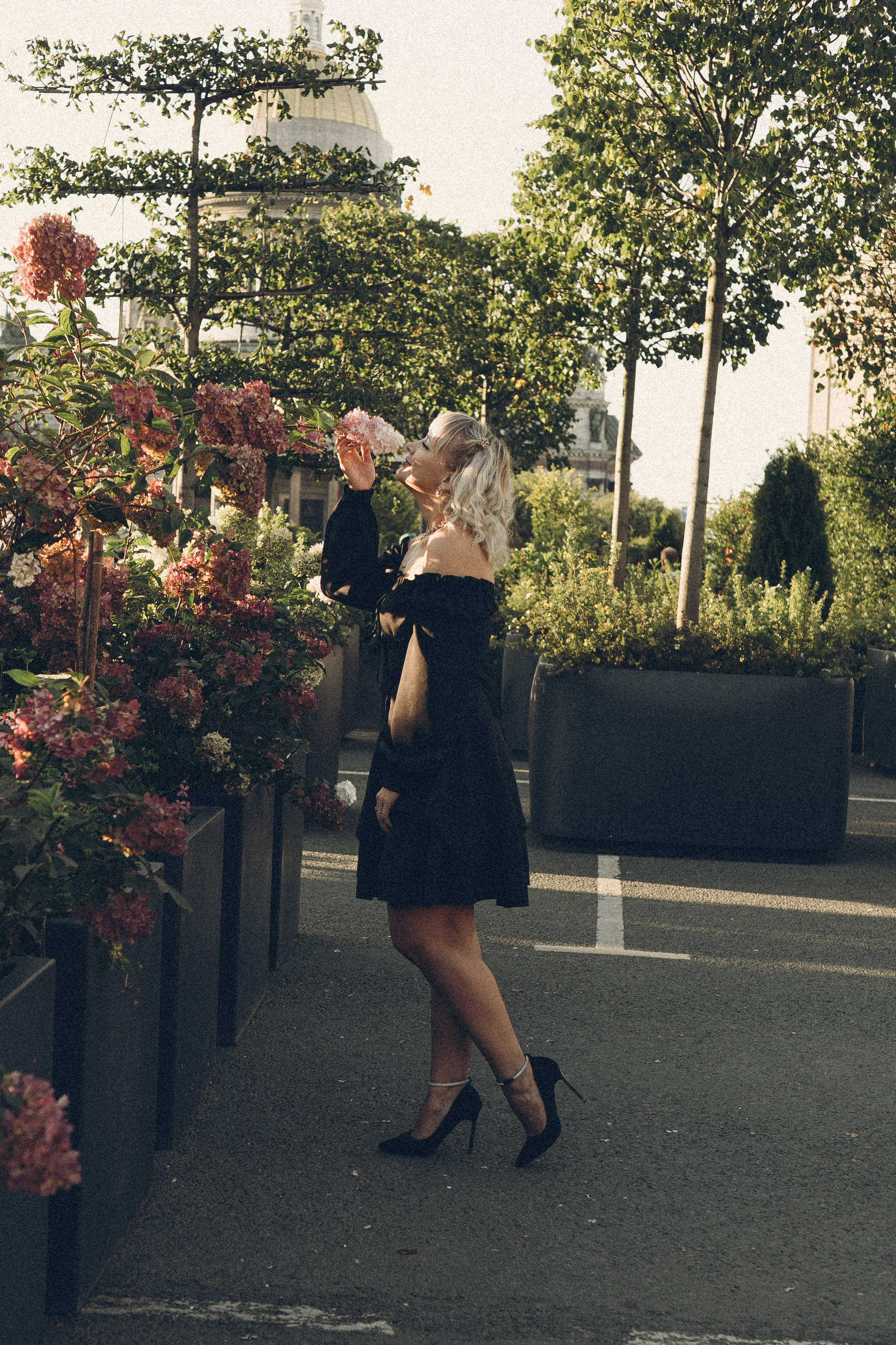 Сентябрьский вечер. Профессиональный фотограф, Санкт-Петербург — Виктория Богомолова