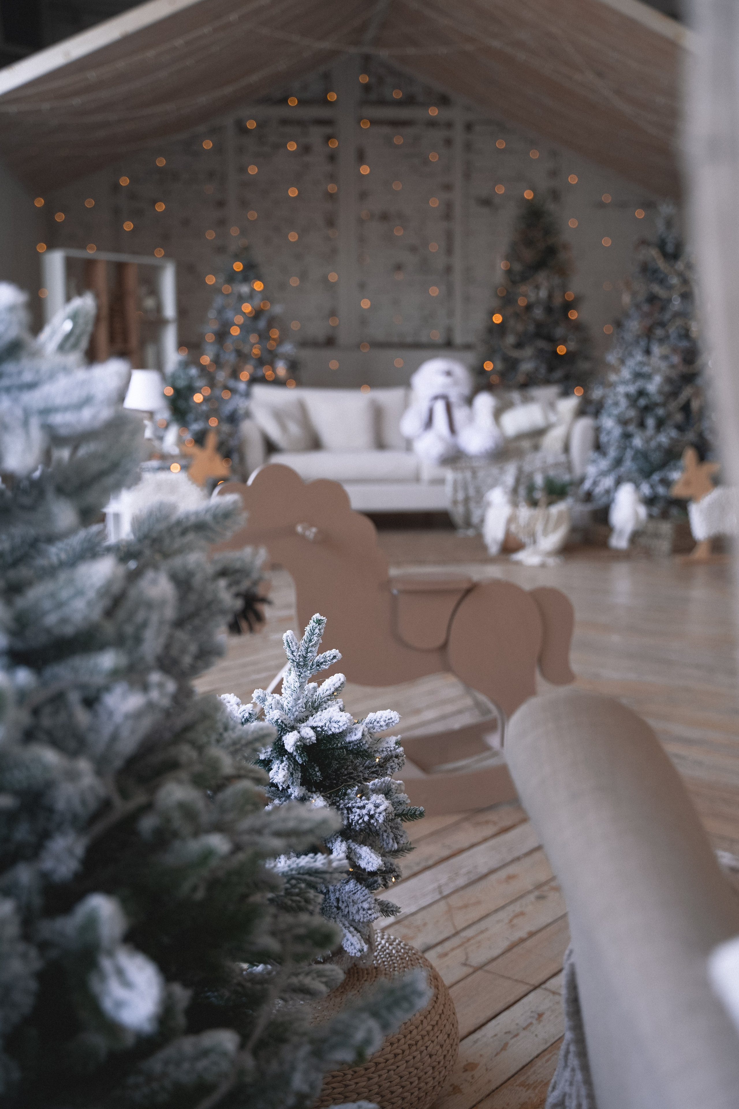 Зал Композиция. Фотограф г. Хабаровск. Семейные и индивидуальные съёмки