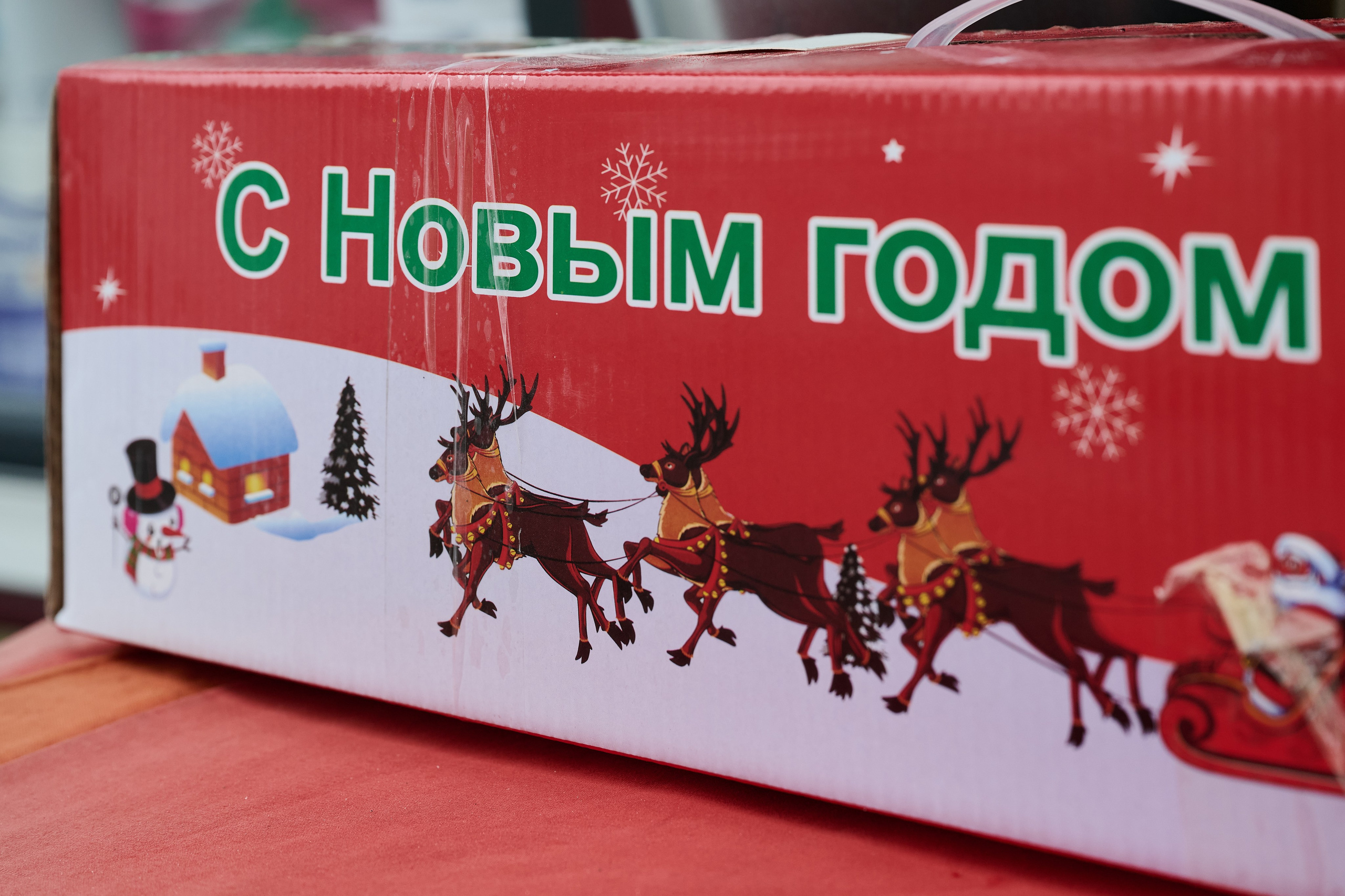 Рубежное. Декабрь 2024. Фотограф Роман Адлер