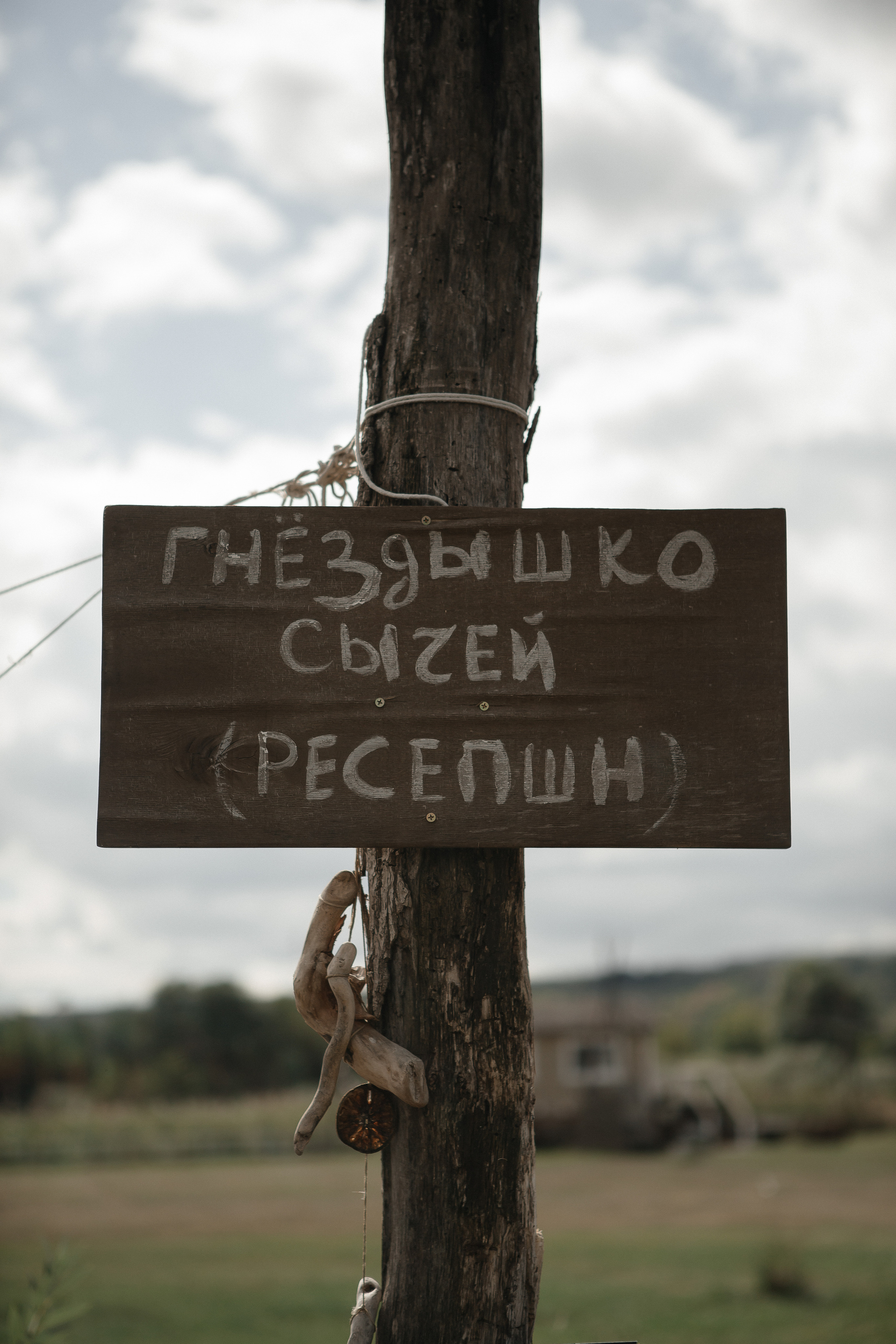 Виктория и Дмитрий. Фотограф Дубровская Виктория