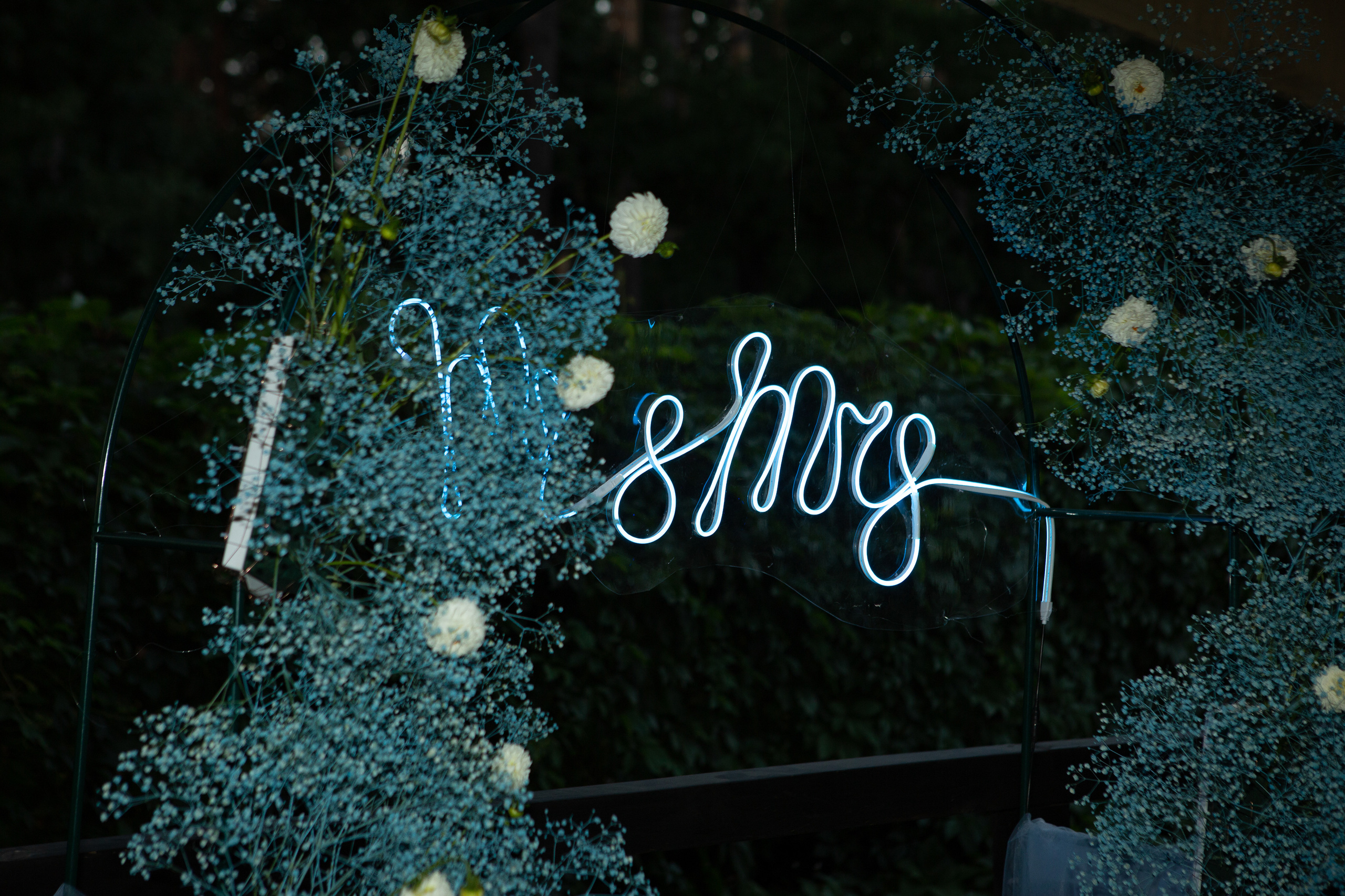 Юлия и Василий. Фотограф Дубровская Виктория