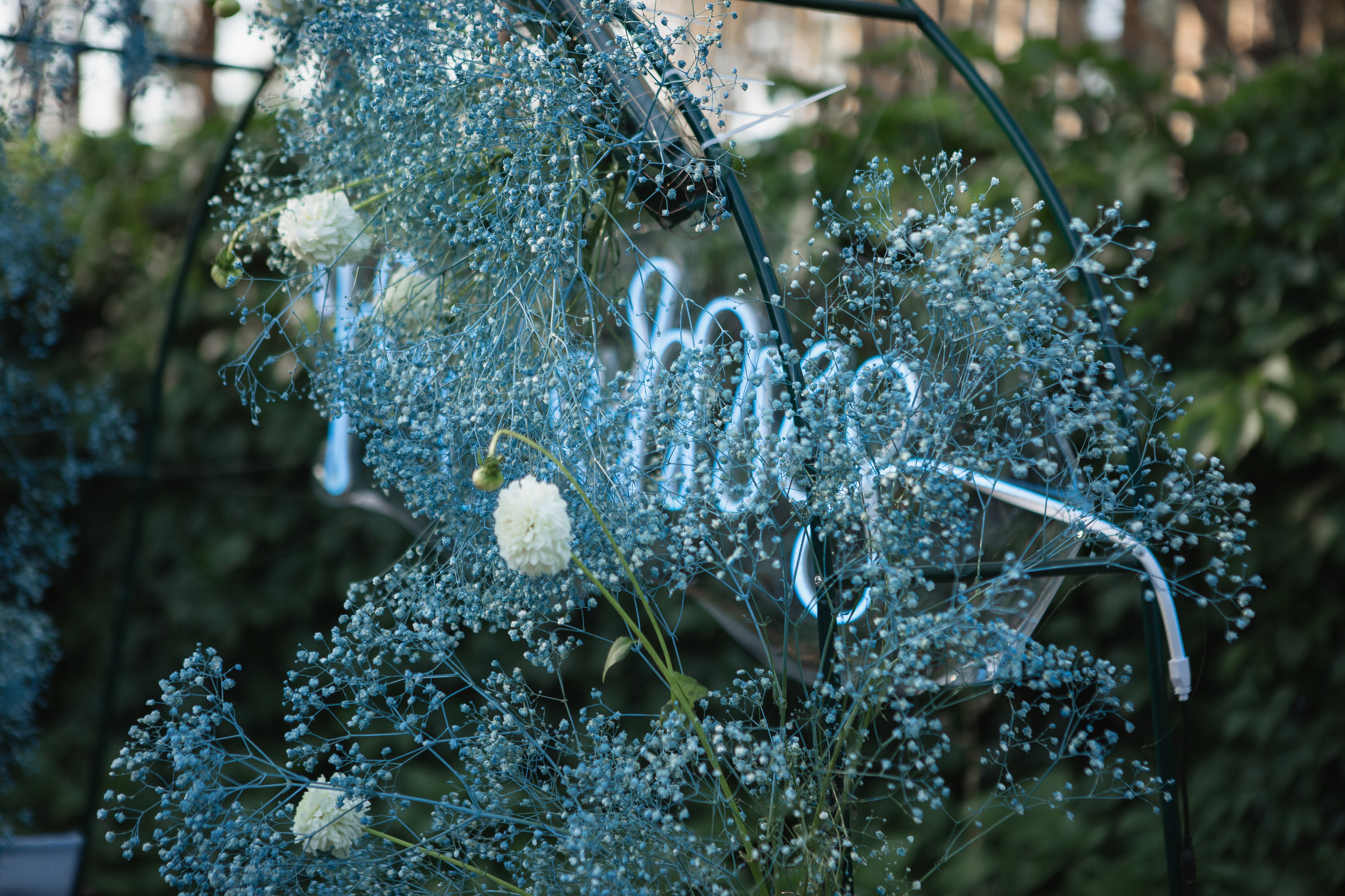 Юлия и Василий. Фотограф Дубровская Виктория