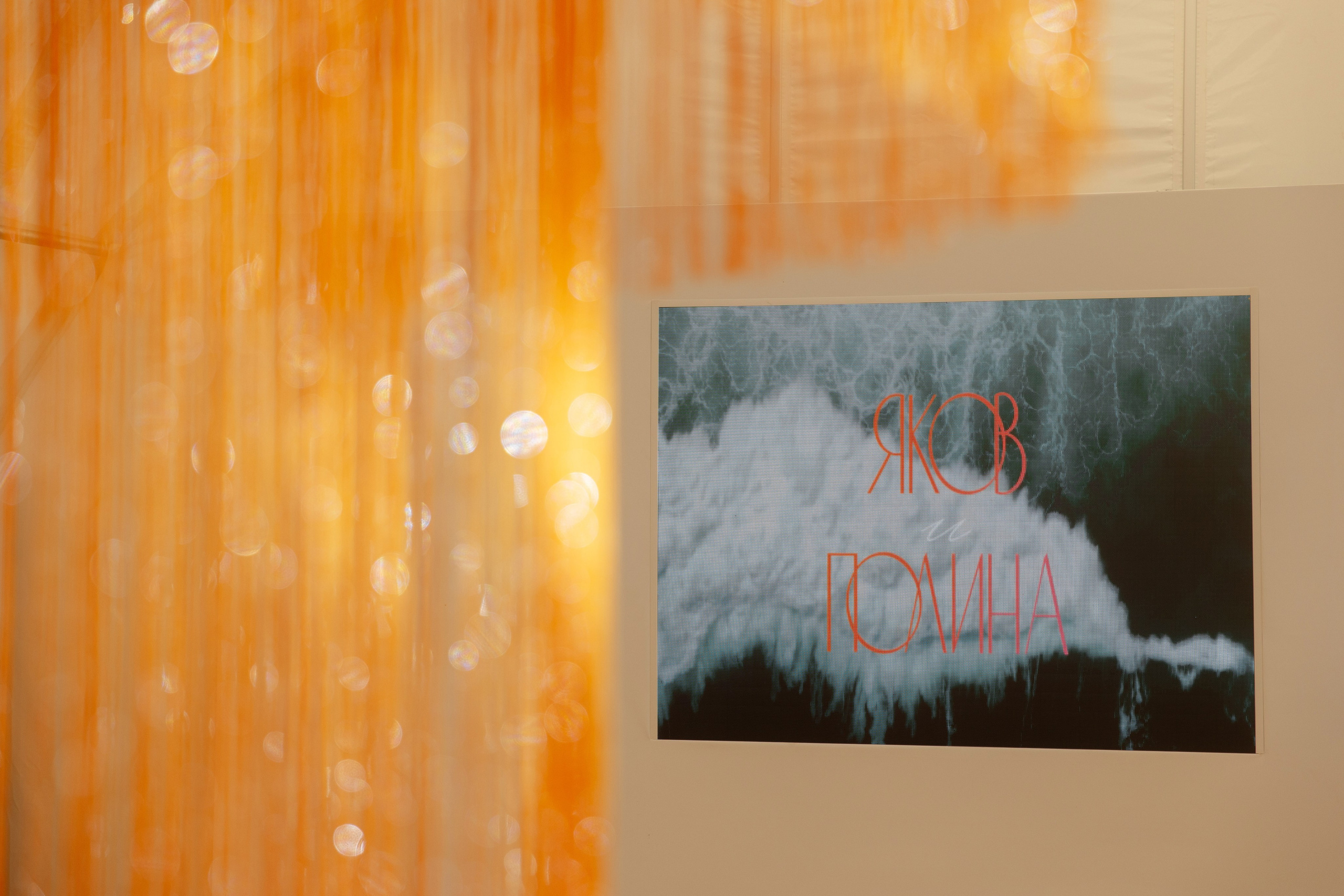 Y&P. Фотограф в Новосибирске и Москве