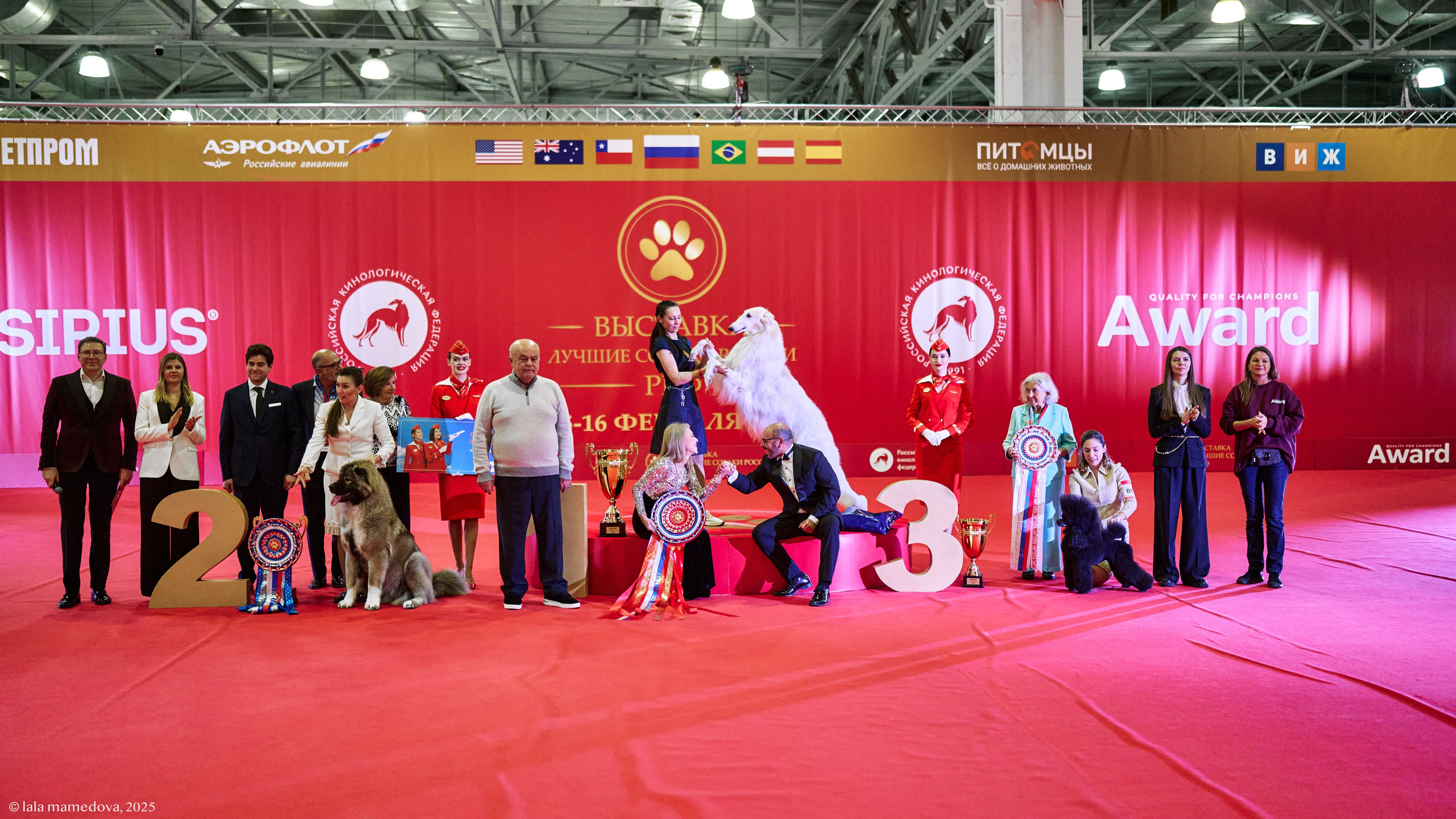 ЛУЧШИЕ СОБАКИ РОССИИ РКФ 2025