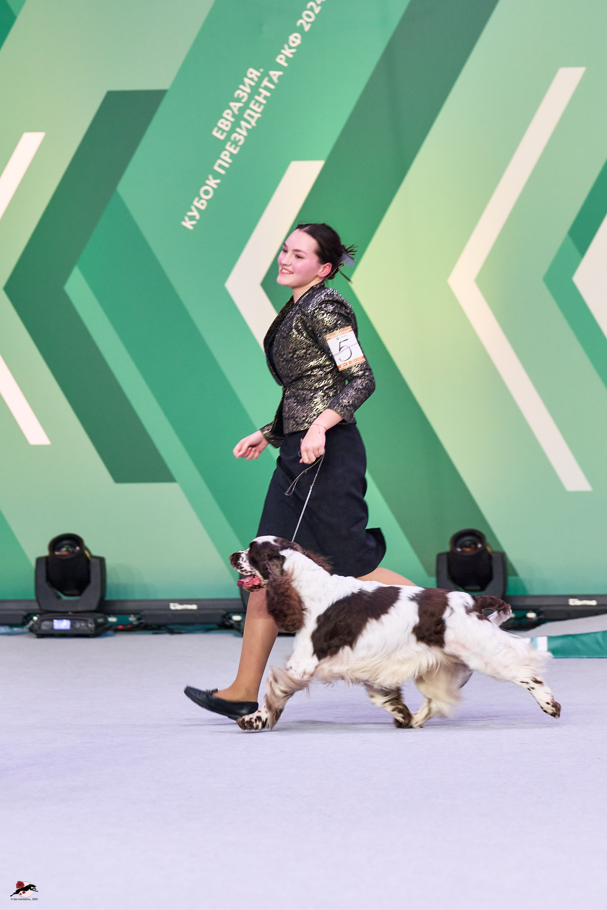 17.11.2024 «ЕВРАЗИЯ. КУБОК СНГ 2024»