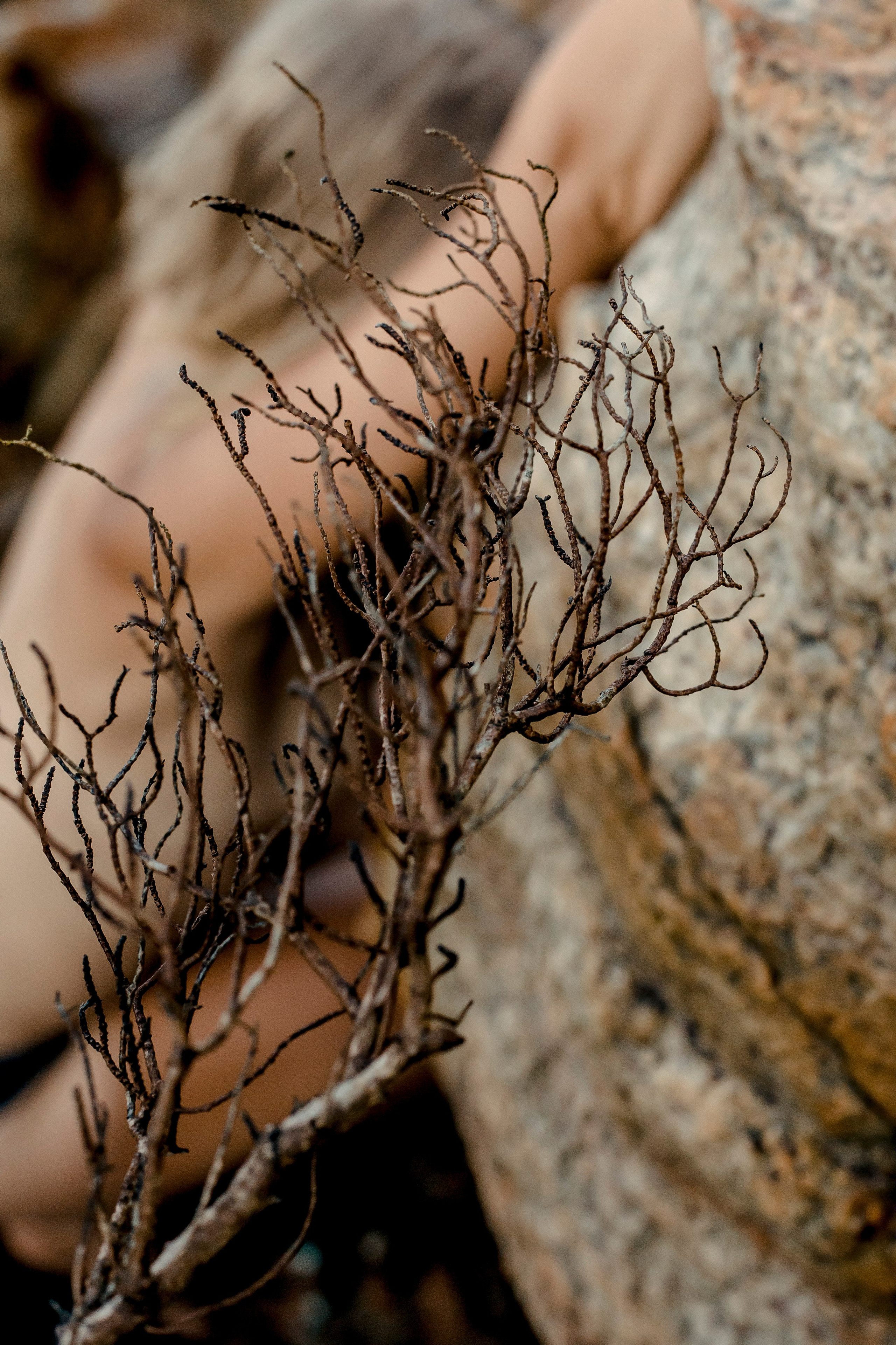 PORTRAIT. Art Photographer