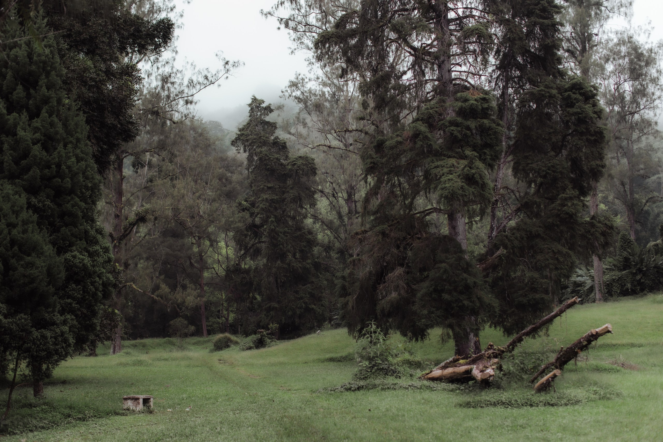 Tatiana & Vadim. Bali. Портретный фотограф на Бали. Фотосессии на Бали